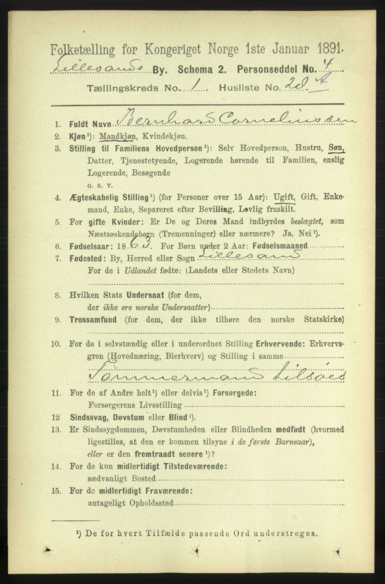 RA, 1891 census for 0905 Lillesand, 1891, p. 174