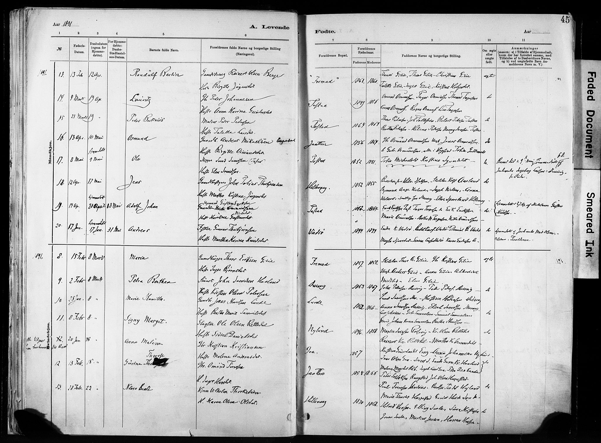 Hetland sokneprestkontor, AV/SAST-A-101826/30/30BA/L0011: Parish register (official) no. A 11, 1884-1911, p. 45