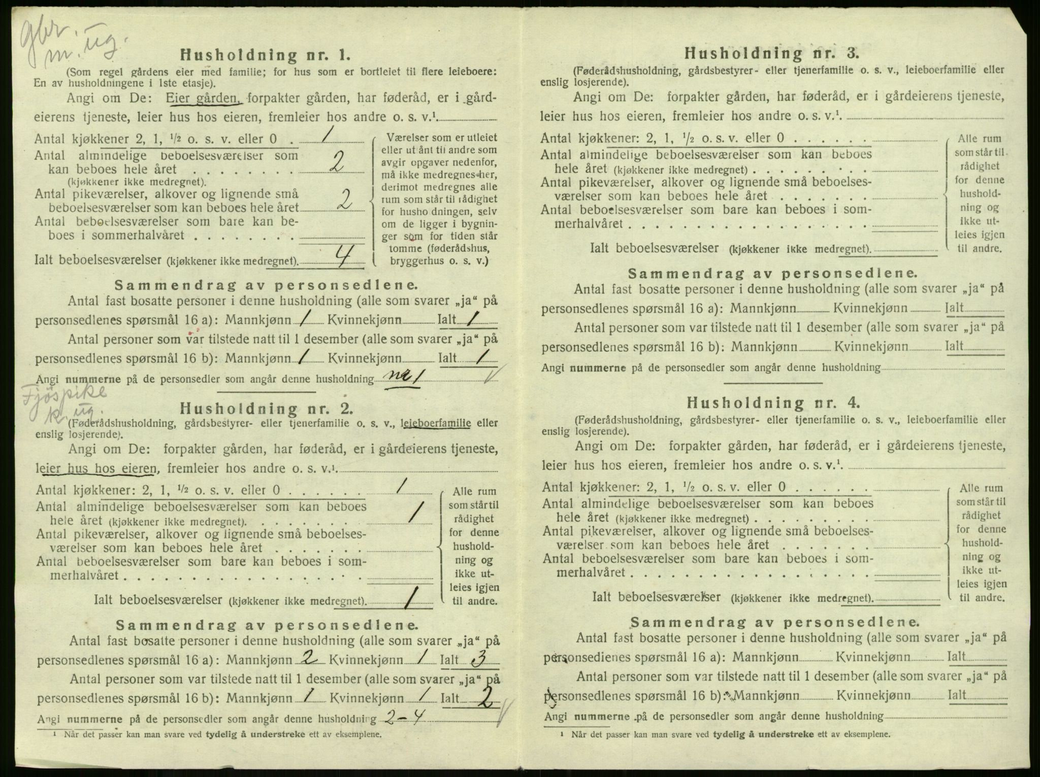 SAKO, 1920 census for Andebu, 1920, p. 873