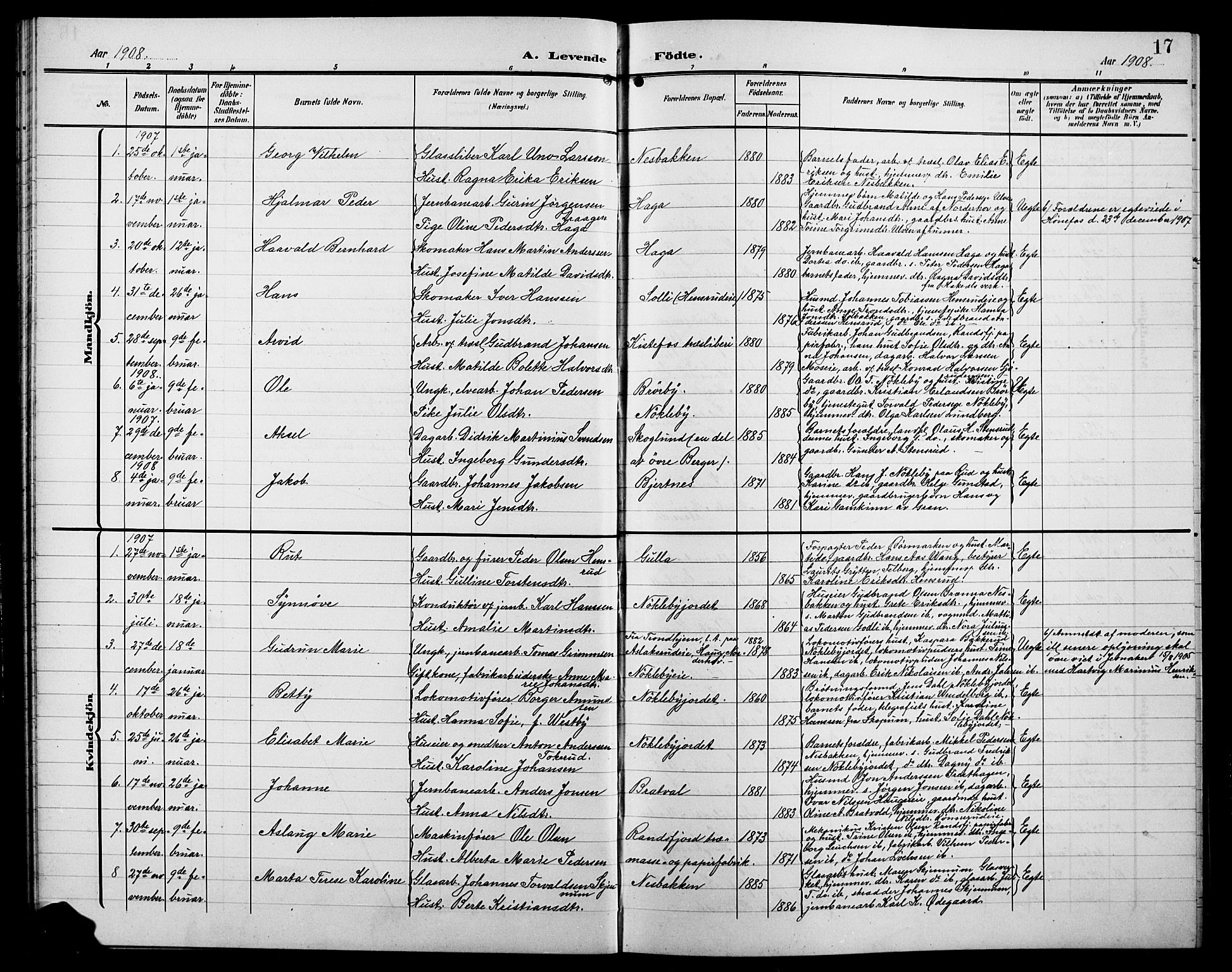 Jevnaker prestekontor, SAH/PREST-116/H/Ha/Hab/L0004: Parish register (copy) no. 4, 1907-1918, p. 17