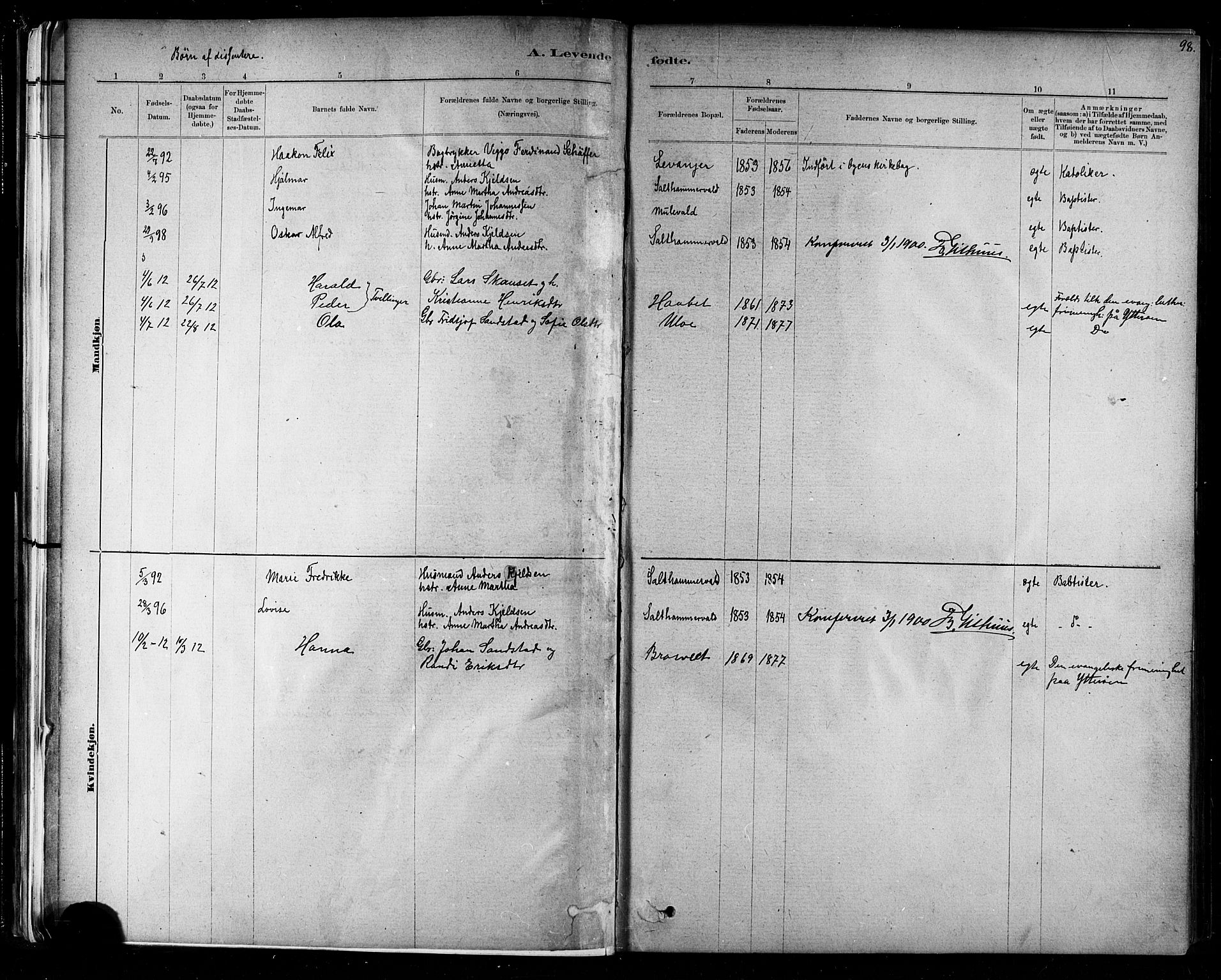 Ministerialprotokoller, klokkerbøker og fødselsregistre - Nord-Trøndelag, AV/SAT-A-1458/721/L0208: Parish register (copy) no. 721C01, 1880-1917, p. 98