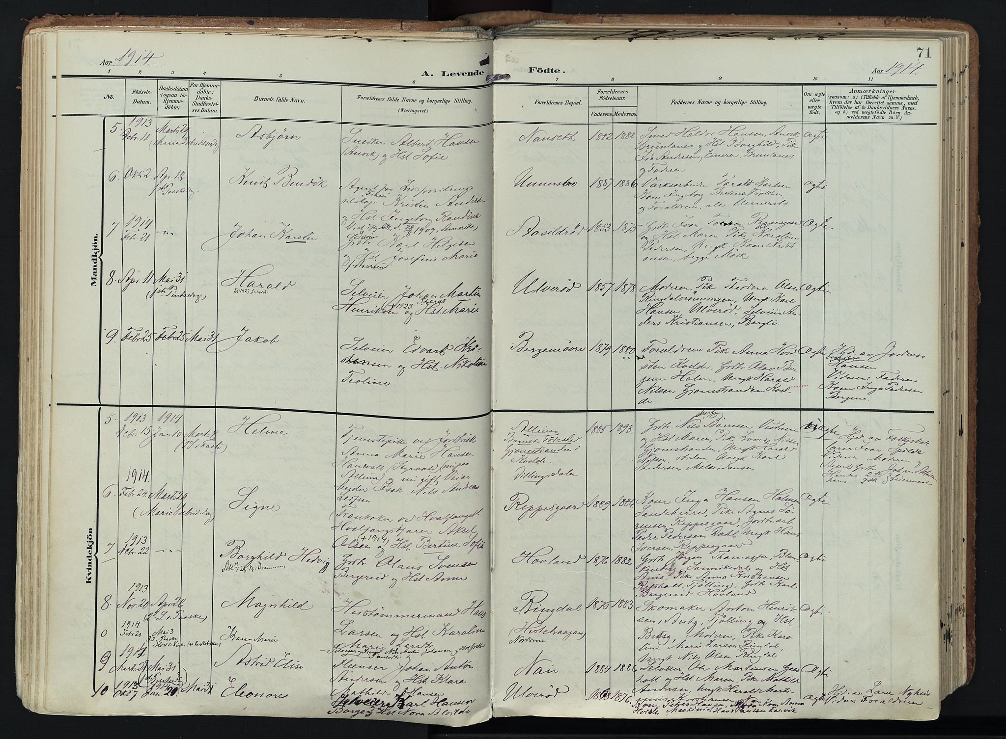 Hedrum kirkebøker, SAKO/A-344/F/Fa/L0010: Parish register (official) no. I 10, 1904-1918, p. 71