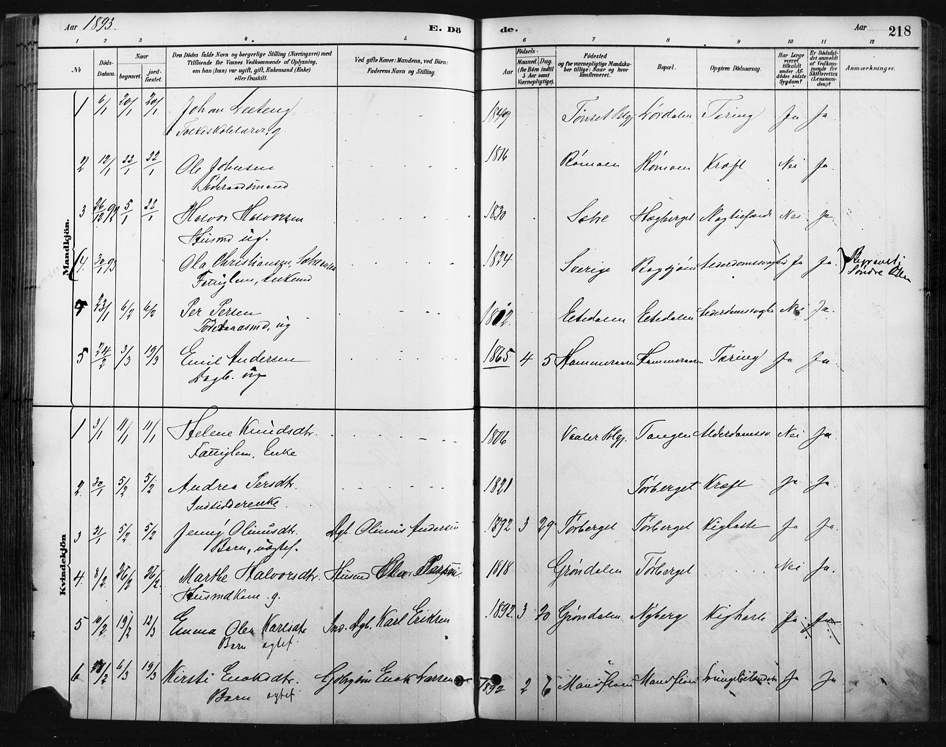 Trysil prestekontor, SAH/PREST-046/H/Ha/Haa/L0009: Parish register (official) no. 9, 1881-1897, p. 218