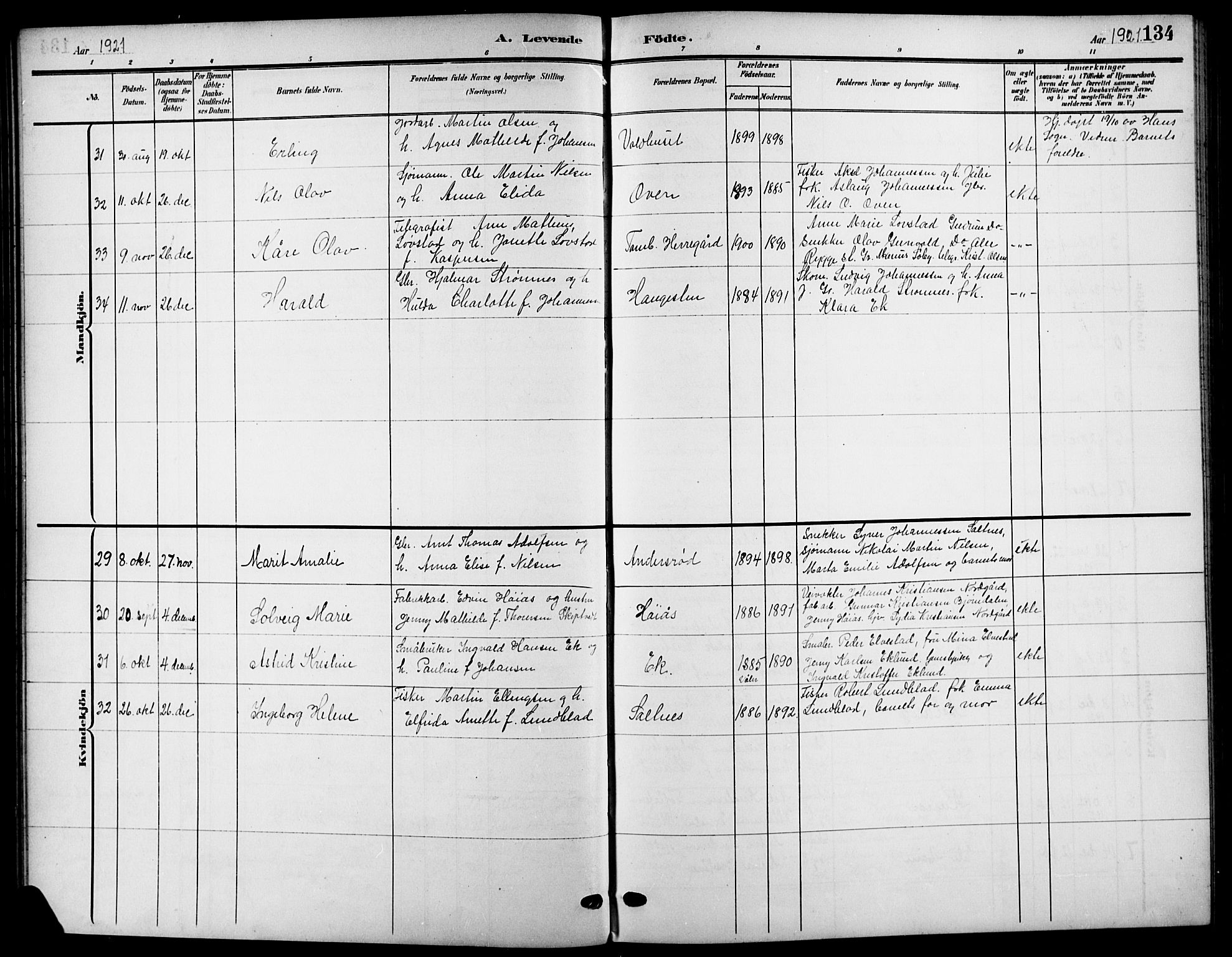 Råde prestekontor kirkebøker, SAO/A-2009/G/Ga/L0001: Parish register (copy) no. 1, 1903-1925, p. 134