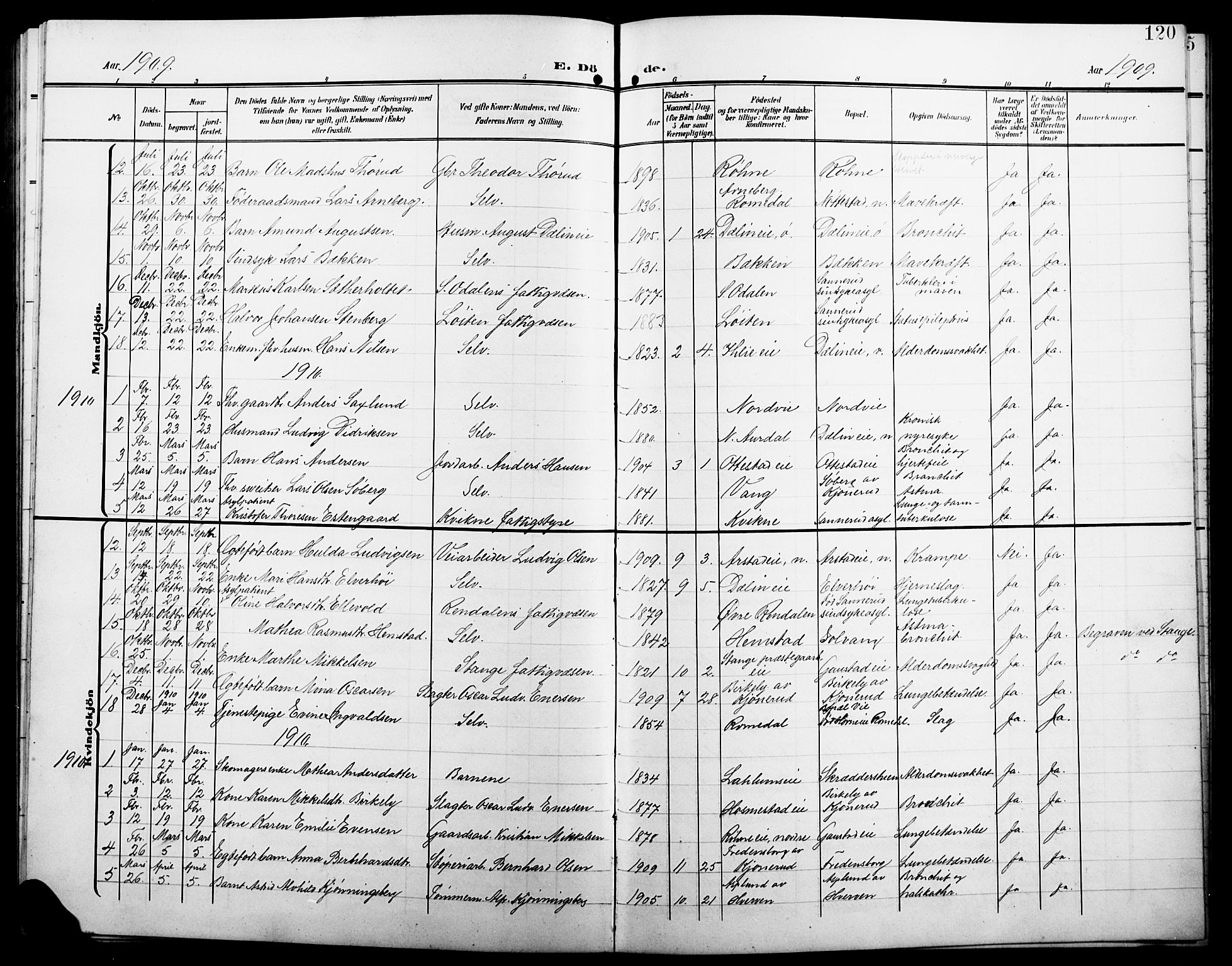 Stange prestekontor, SAH/PREST-002/L/L0013: Parish register (copy) no. 13, 1906-1915, p. 120