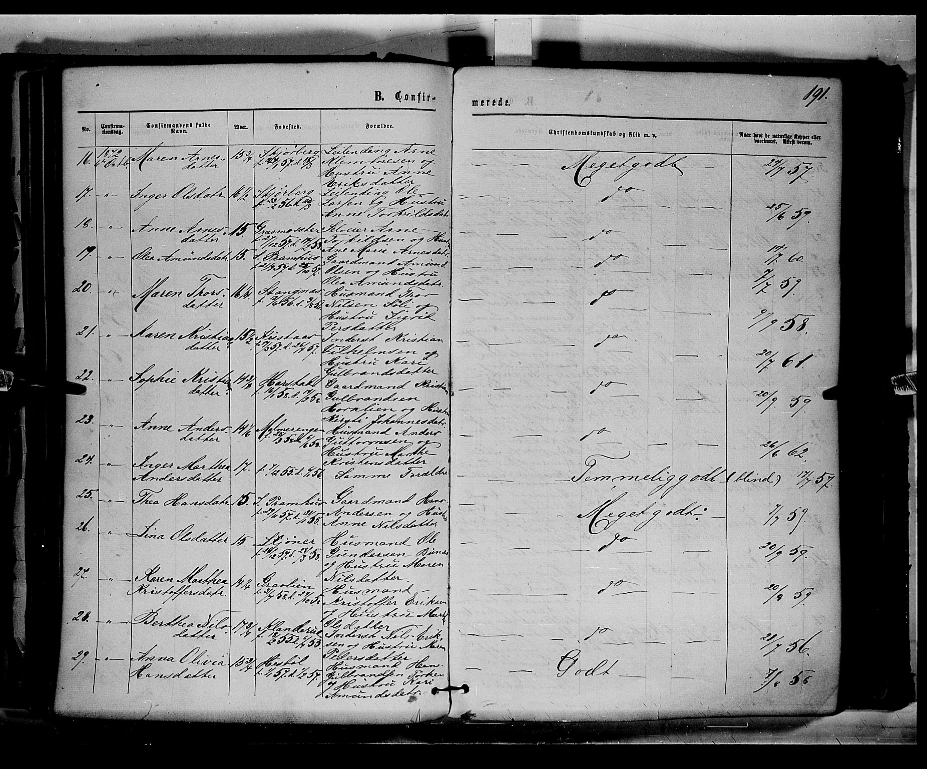 Eidskog prestekontor, AV/SAH-PREST-026/H/Ha/Haa/L0002: Parish register (official) no. 2, 1867-1878, p. 191