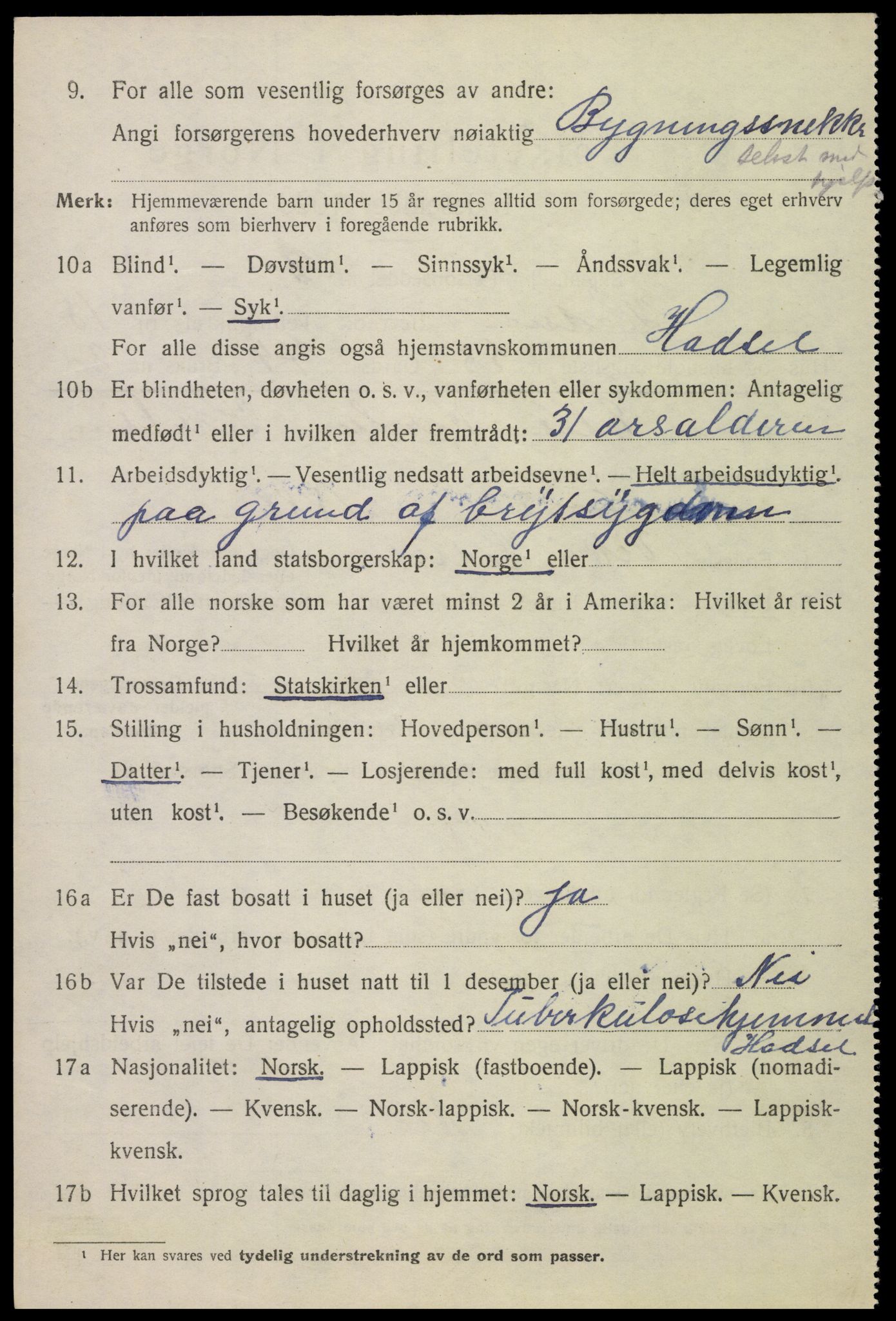 SAT, 1920 census for Hadsel, 1920, p. 17133