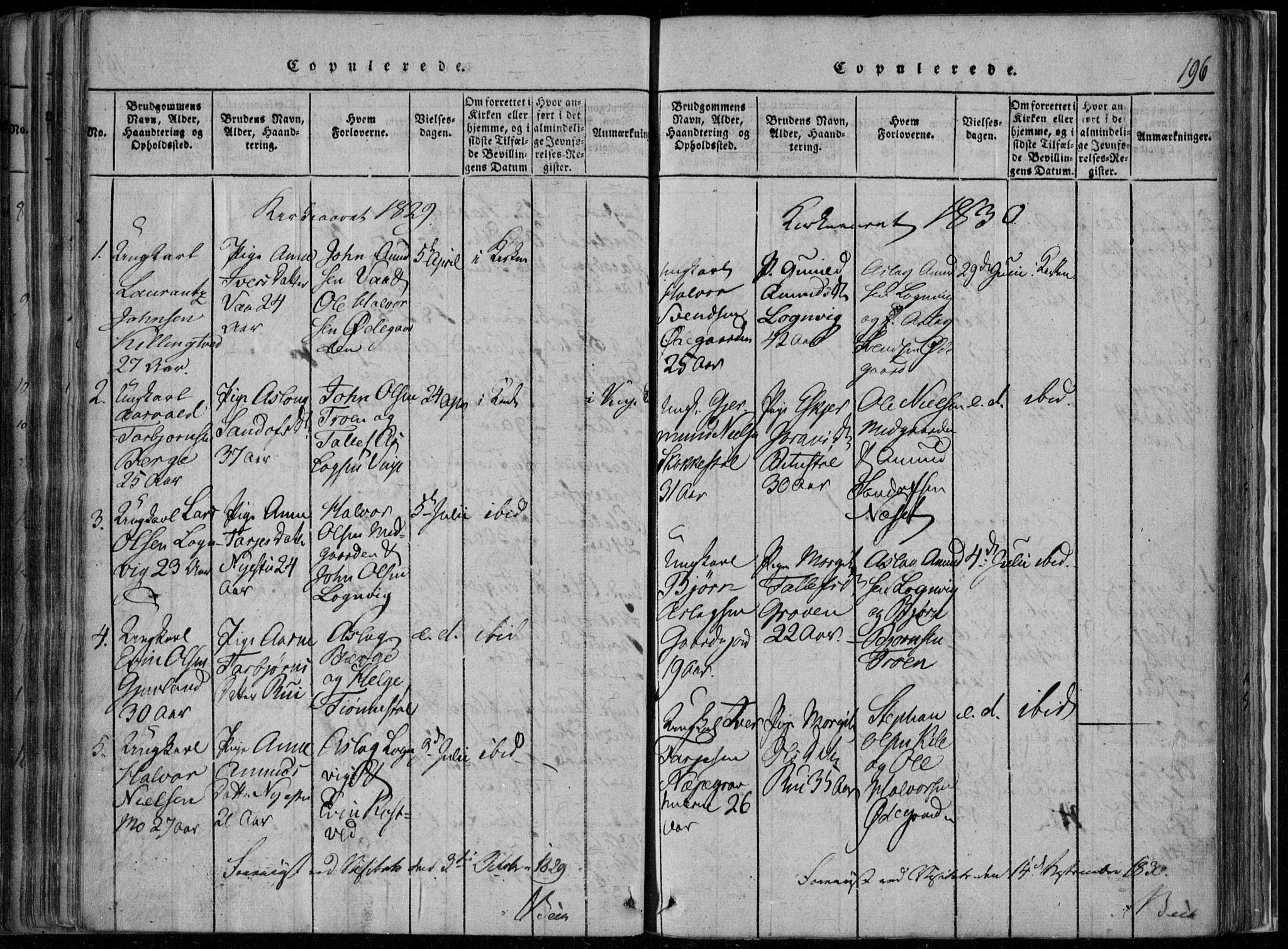Rauland kirkebøker, SAKO/A-292/F/Fa/L0001: Parish register (official) no. 1, 1814-1859, p. 196