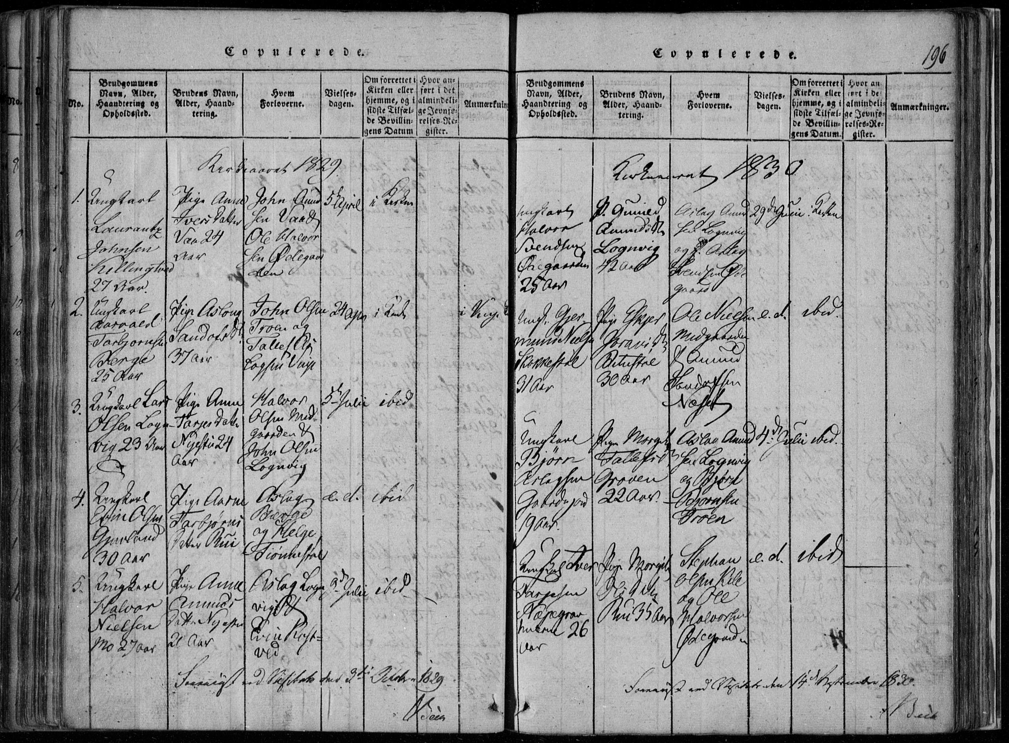 Rauland kirkebøker, AV/SAKO-A-292/F/Fa/L0001: Parish register (official) no. I 1, 1814-1859, p. 196