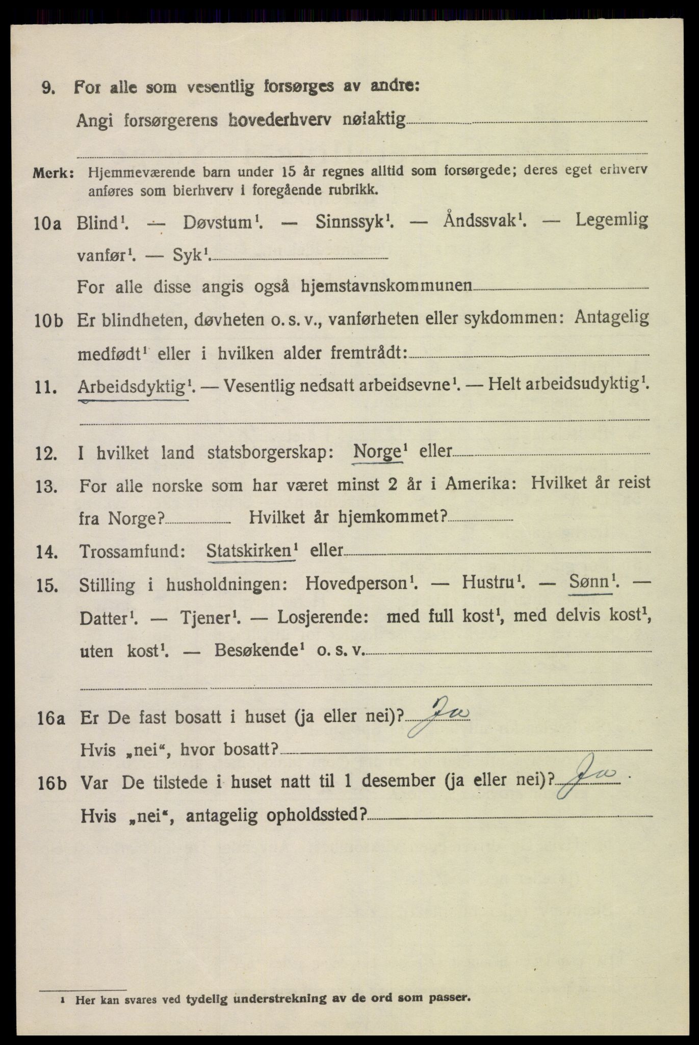 SAH, 1920 census for Sel, 1920, p. 3133