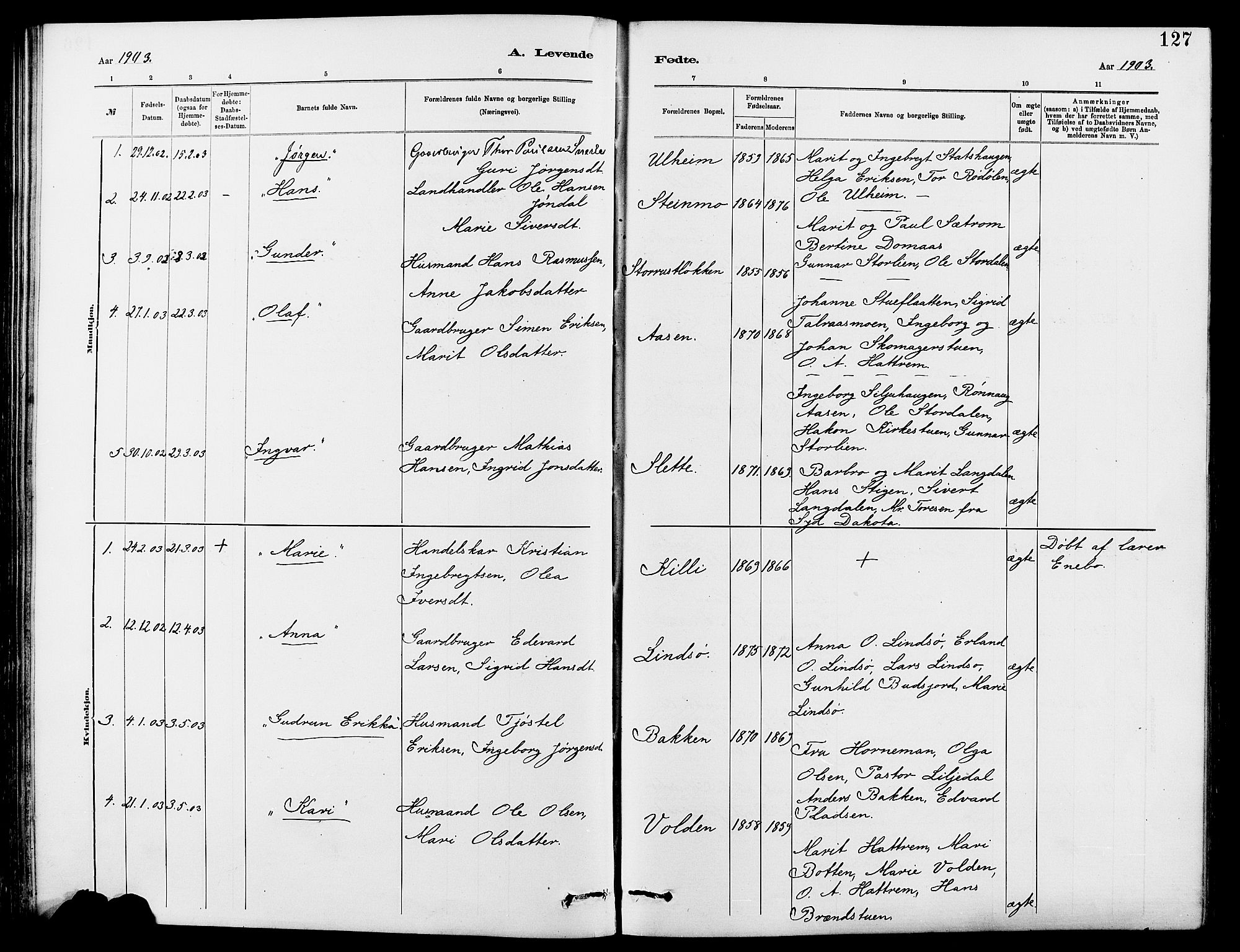 Dovre prestekontor, SAH/PREST-066/H/Ha/Hab/L0002: Parish register (copy) no. 2, 1881-1907, p. 127