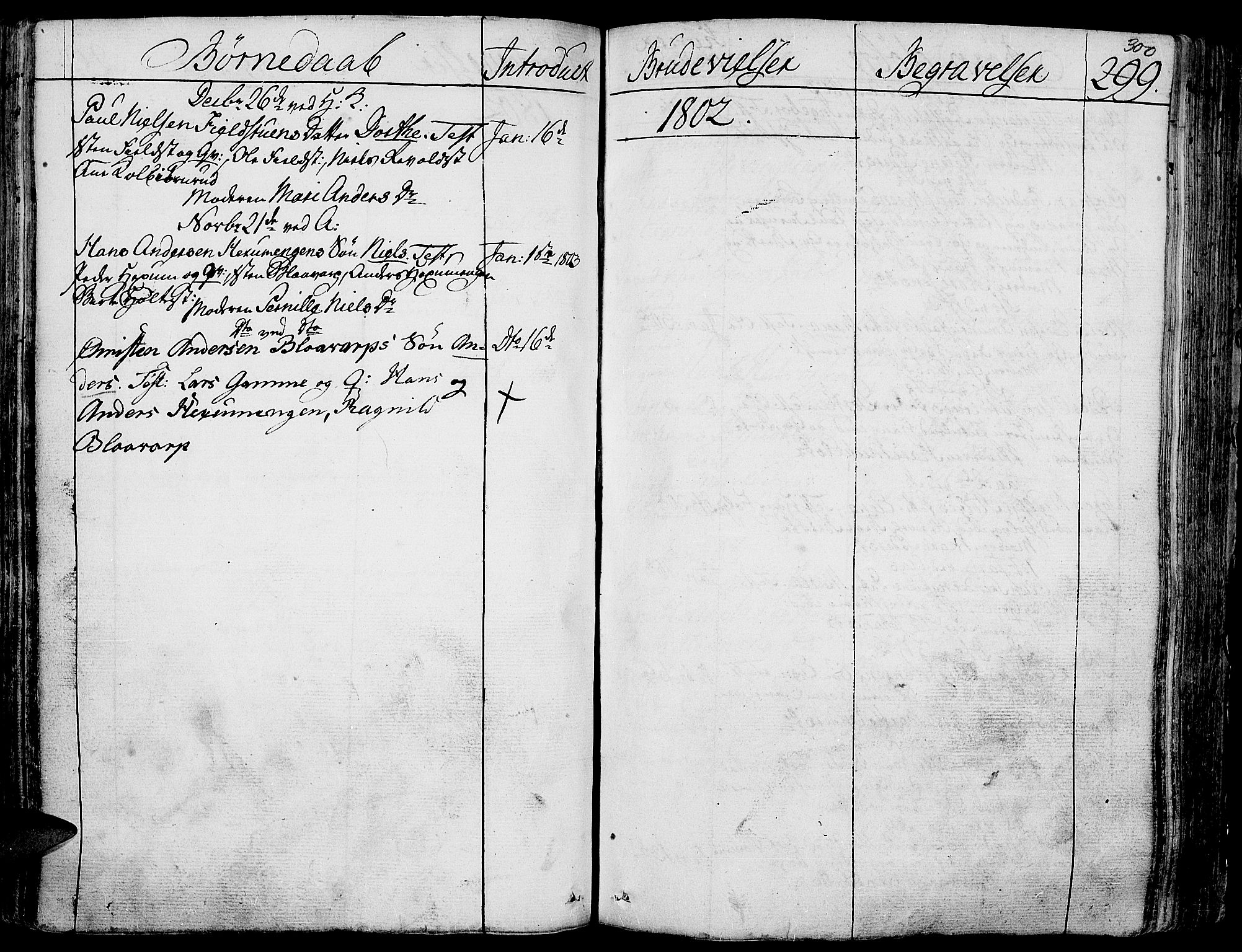 Toten prestekontor, SAH/PREST-102/H/Ha/Haa/L0007: Parish register (official) no. 7, 1794-1809, p. 300