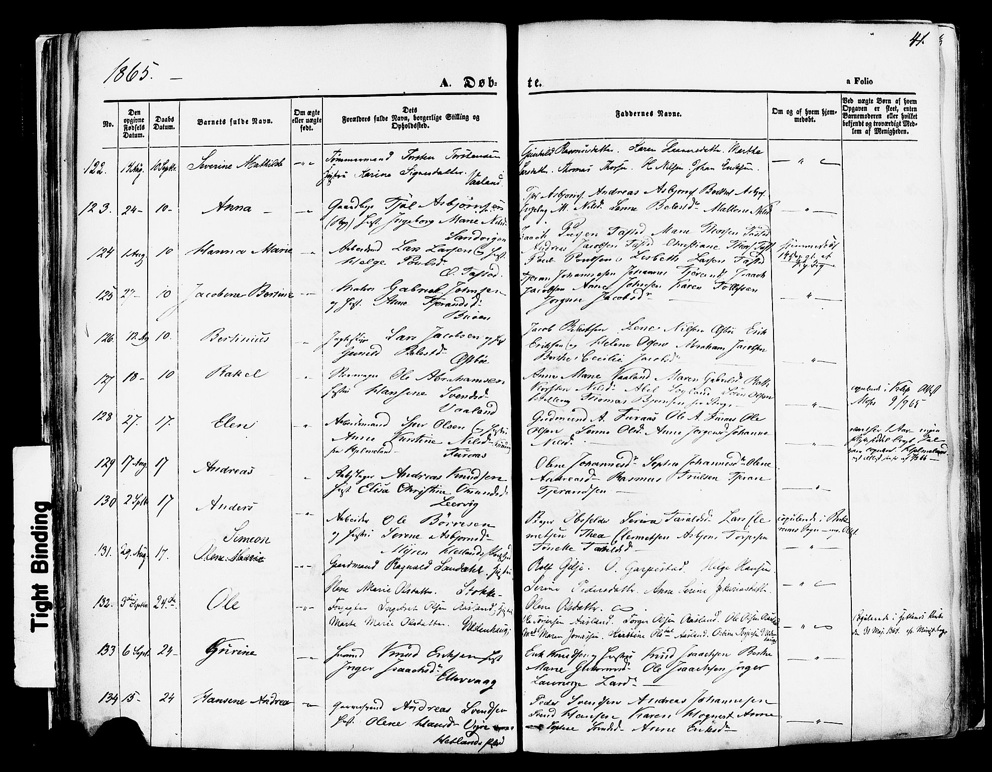 Hetland sokneprestkontor, AV/SAST-A-101826/30/30BA/L0003: Parish register (official) no. A 3, 1862-1876, p. 41