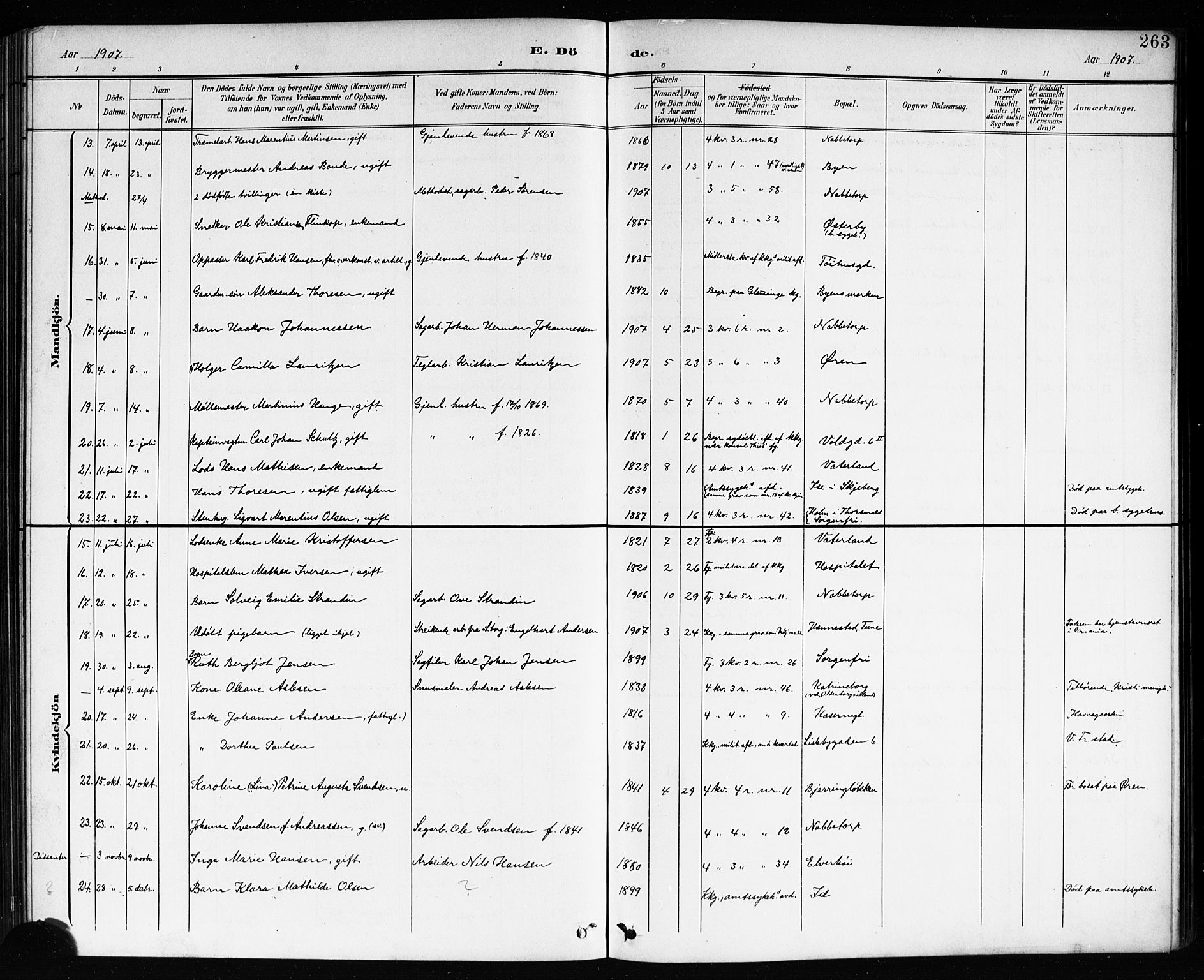 Østre Fredrikstad prestekontor Kirkebøker, AV/SAO-A-10907/G/Ga/L0002: Parish register (copy) no. 2, 1900-1919, p. 263