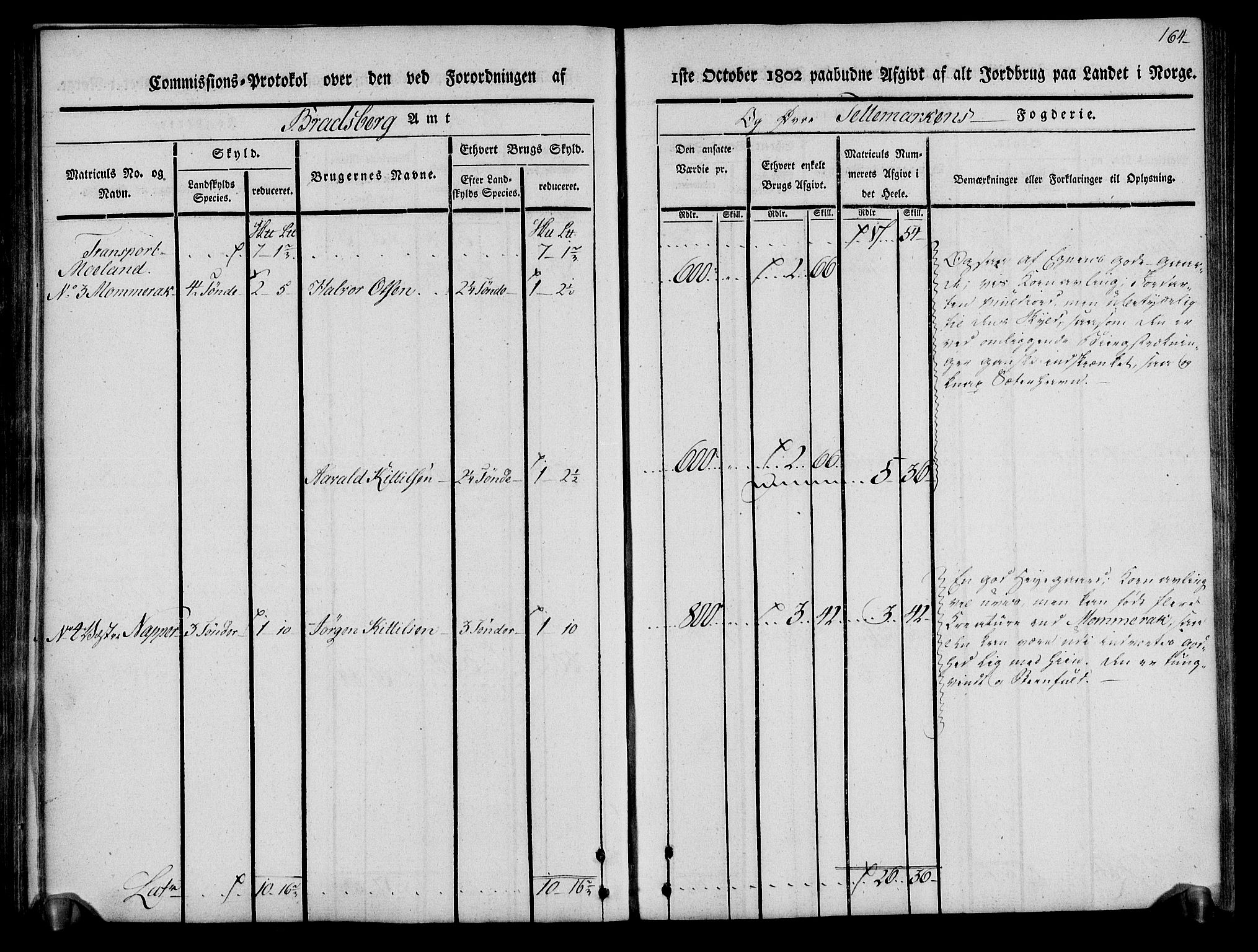 Rentekammeret inntil 1814, Realistisk ordnet avdeling, AV/RA-EA-4070/N/Ne/Nea/L0075: Øvre Telemarken fogderi. Kommisjonsprotokoll for fogderiets vestre del - Kviteseid, Vinje, Moland [):Fyresdal] og Lårdal prestegjeld., 1803, p. 166