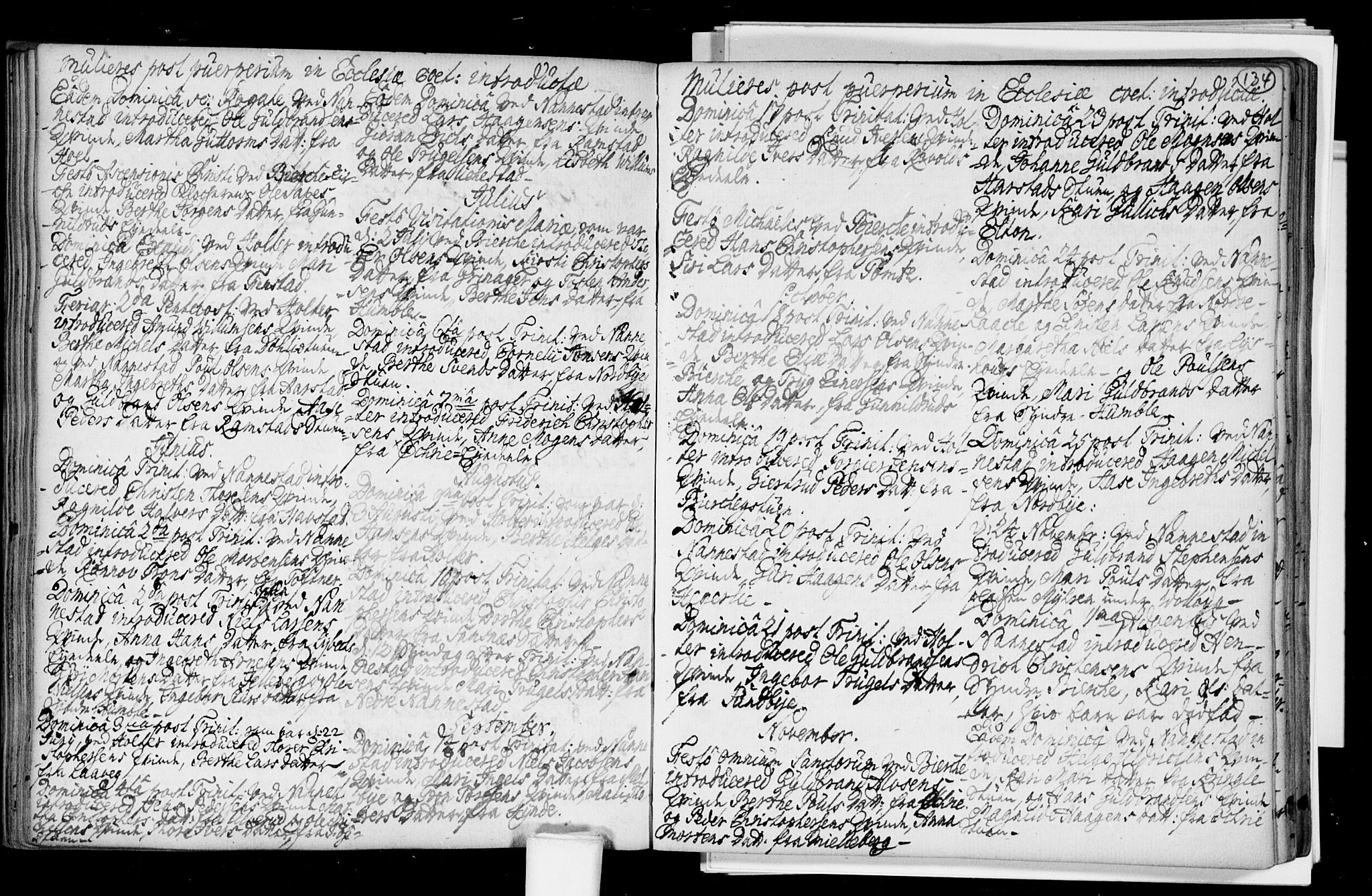 Nannestad prestekontor Kirkebøker, AV/SAO-A-10414a/F/Fa/L0005: Parish register (official) no. I 5, 1729-1738, p. 134