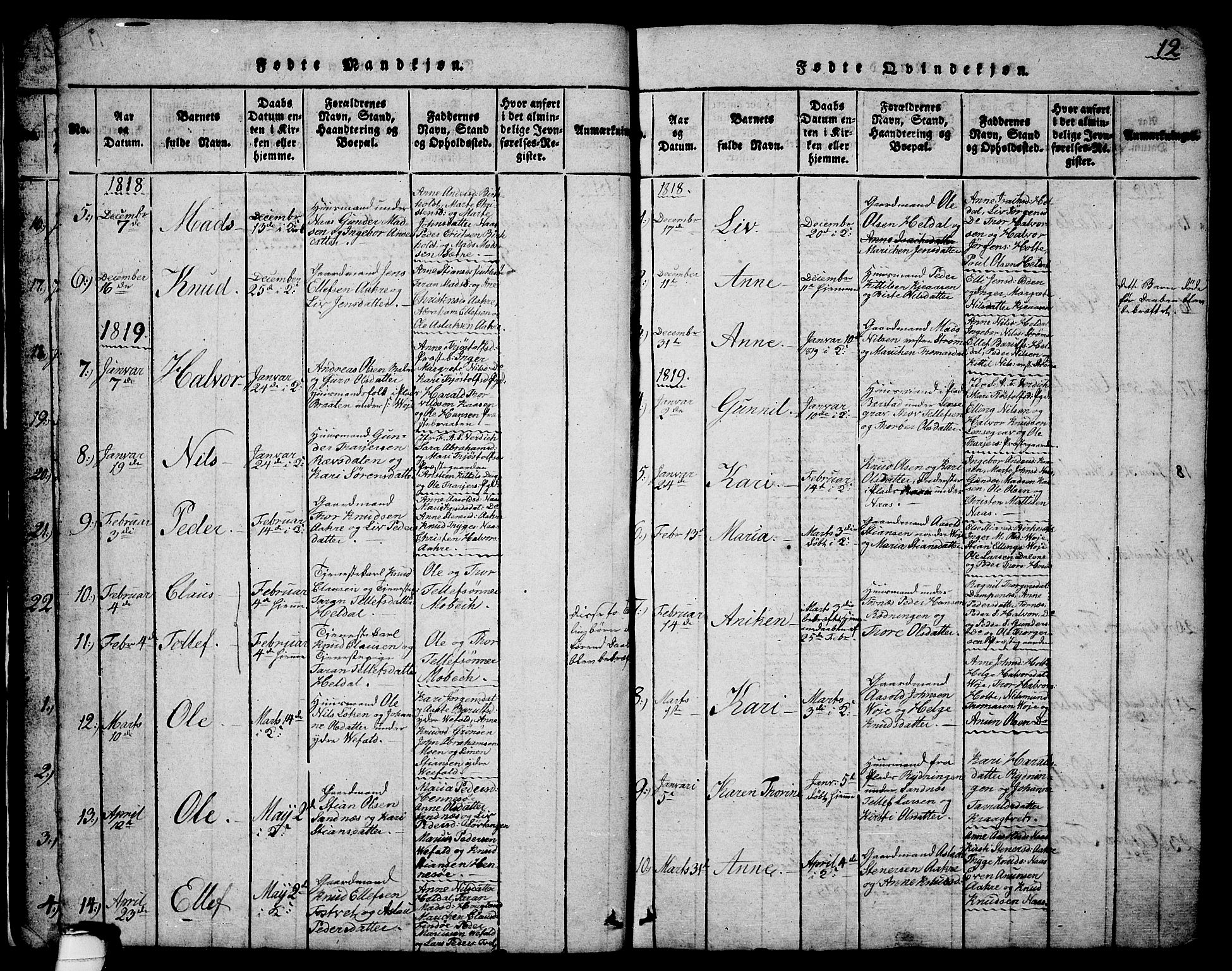 Drangedal kirkebøker, SAKO/A-258/G/Ga/L0001: Parish register (copy) no. I 1 /1, 1814-1856, p. 12