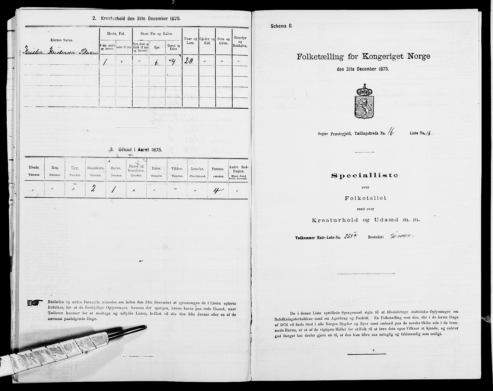 SAK, 1875 census for 1018P Søgne, 1875, p. 1339