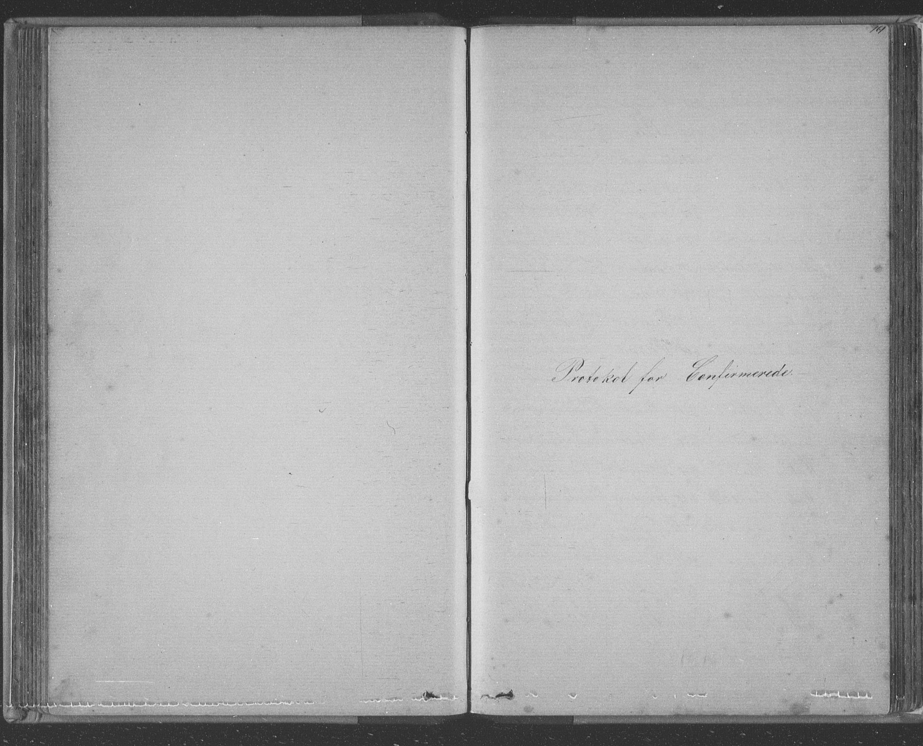 Tysnes sokneprestembete, SAB/A-78601/H/Hab: Parish register (copy) no. E 2, 1875-1897, p. 161