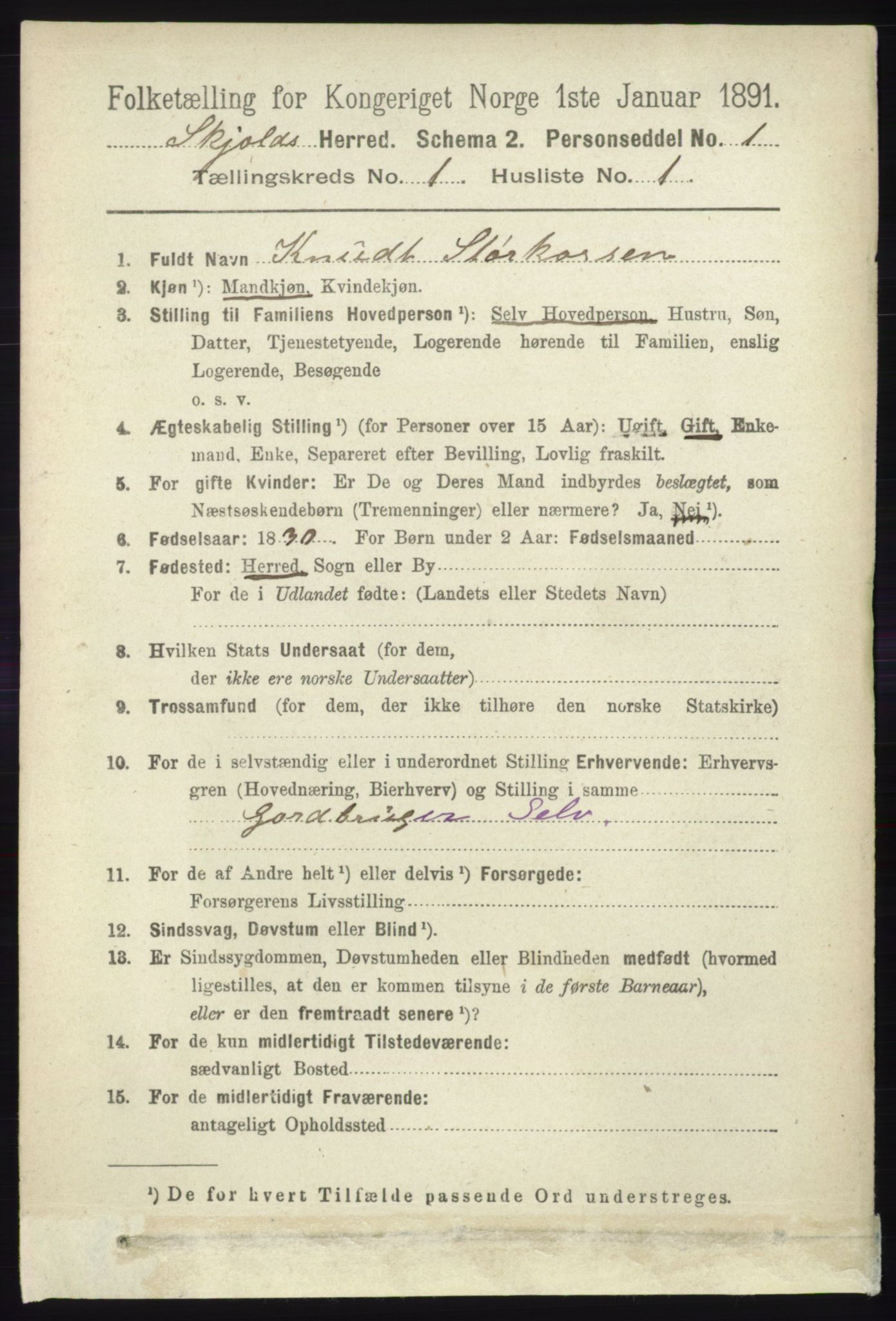 RA, 1891 census for 1154 Skjold, 1891, p. 73