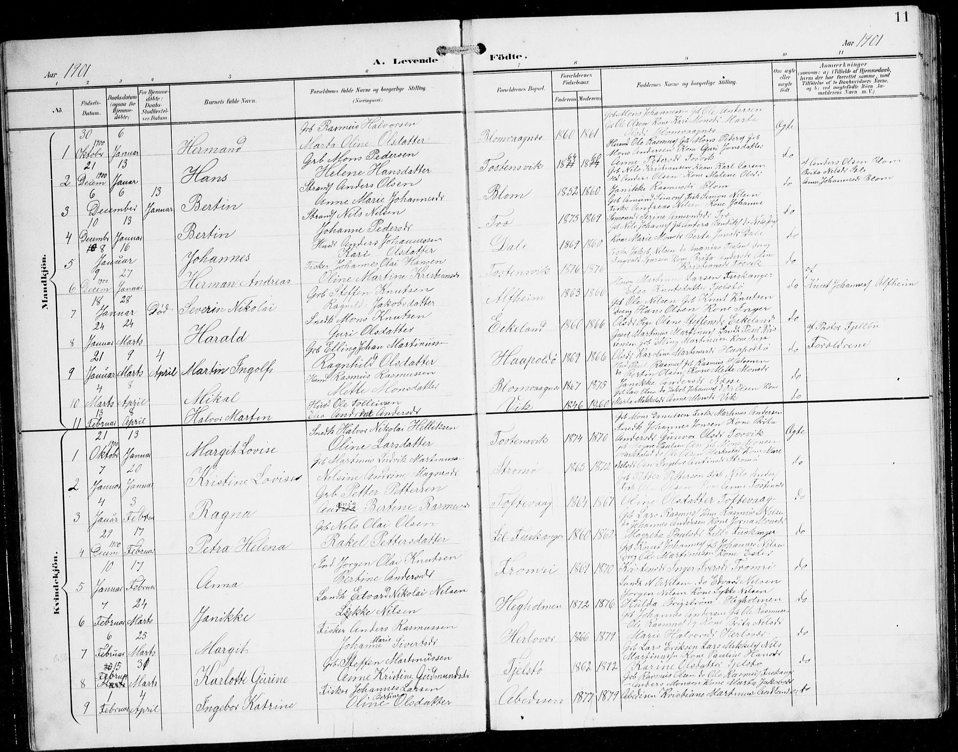 Herdla Sokneprestembete, SAB/A-75701/H/Hab: Parish register (copy) no. C 1, 1900-1913, p. 11