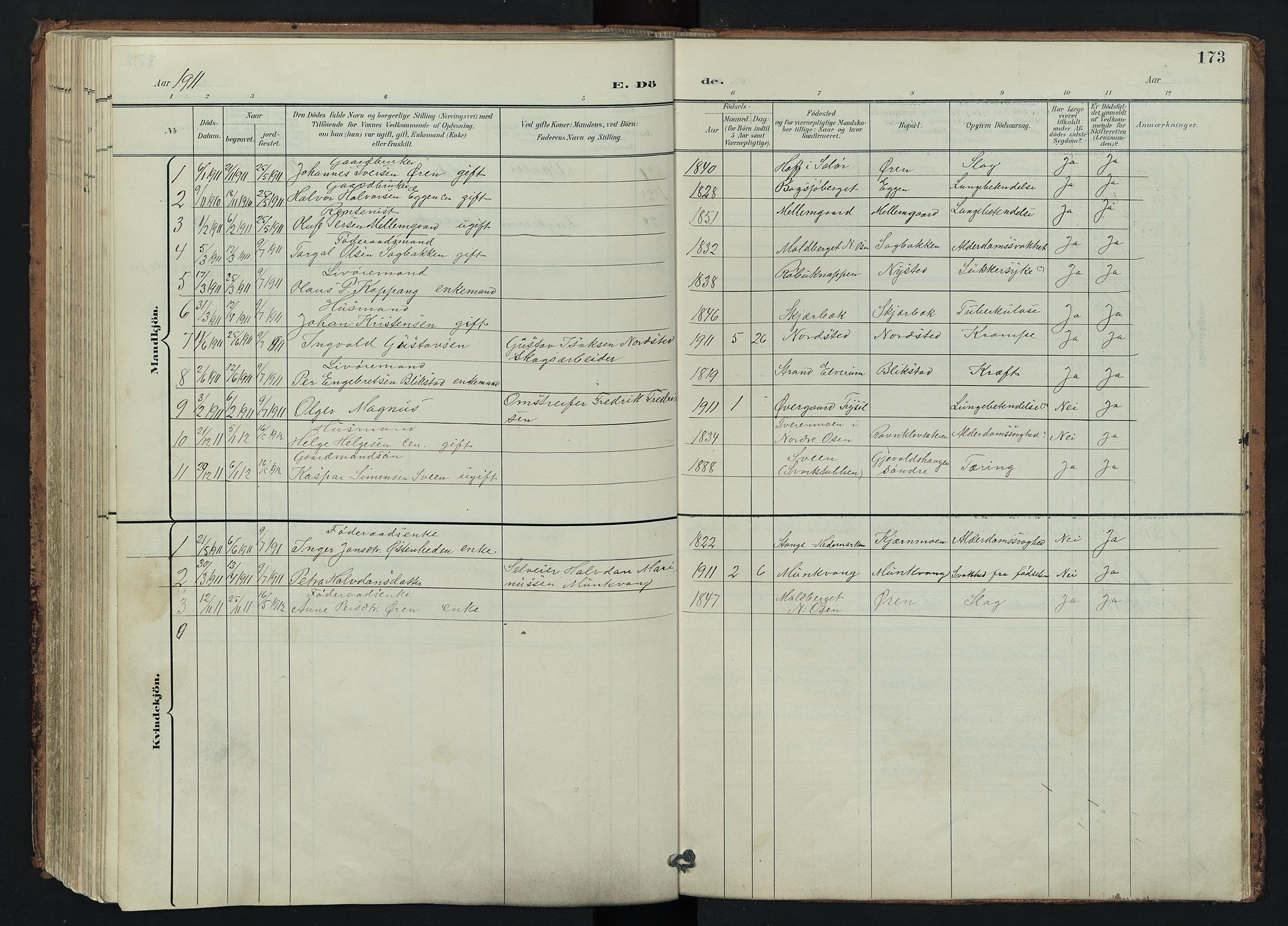 Trysil prestekontor, AV/SAH-PREST-046/H/Ha/Hab/L0007: Parish register (copy) no. 7, 1896-1948, p. 173