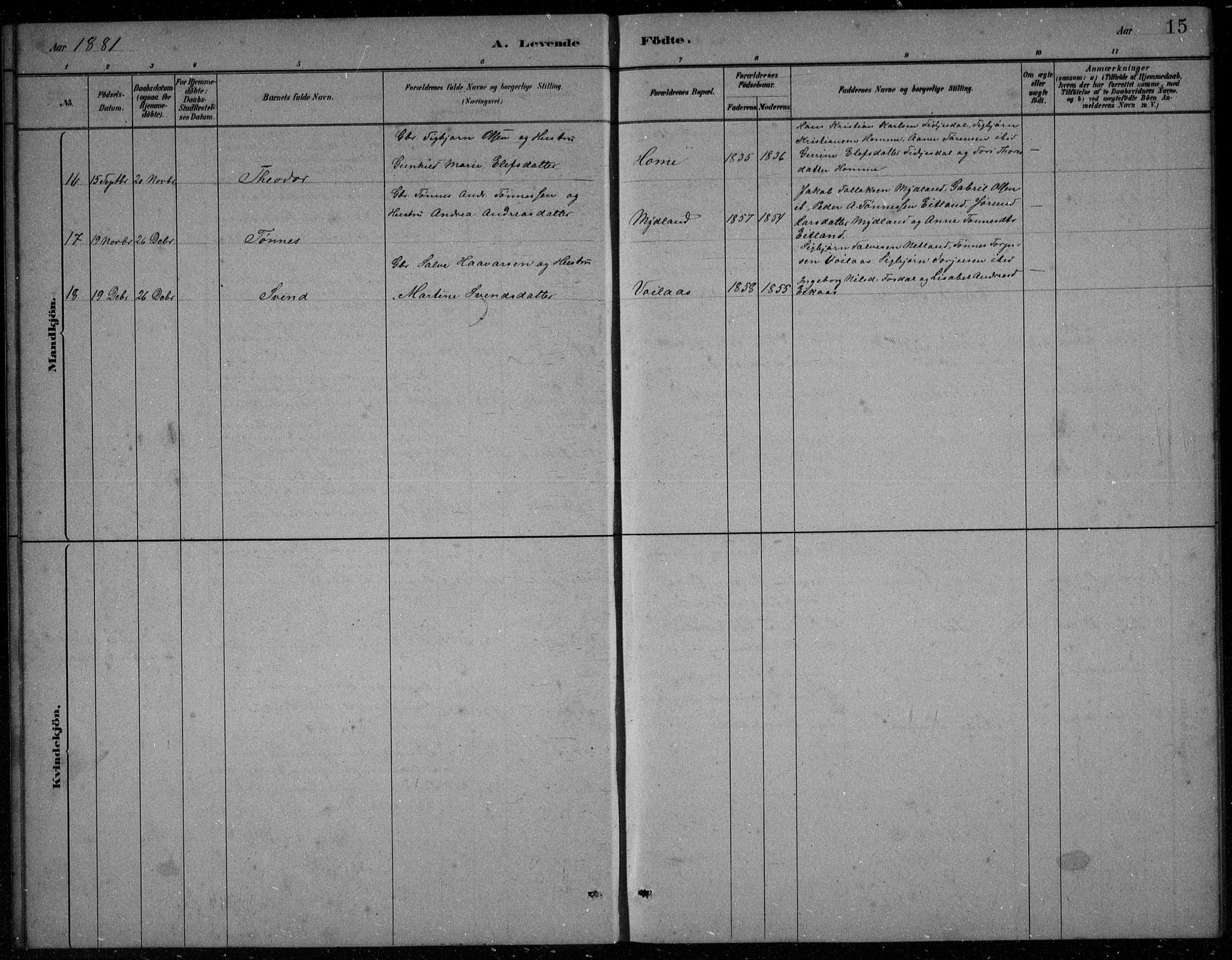 Bakke sokneprestkontor, AV/SAK-1111-0002/F/Fb/Fbb/L0003: Parish register (copy) no. B 3, 1878-1896, p. 15