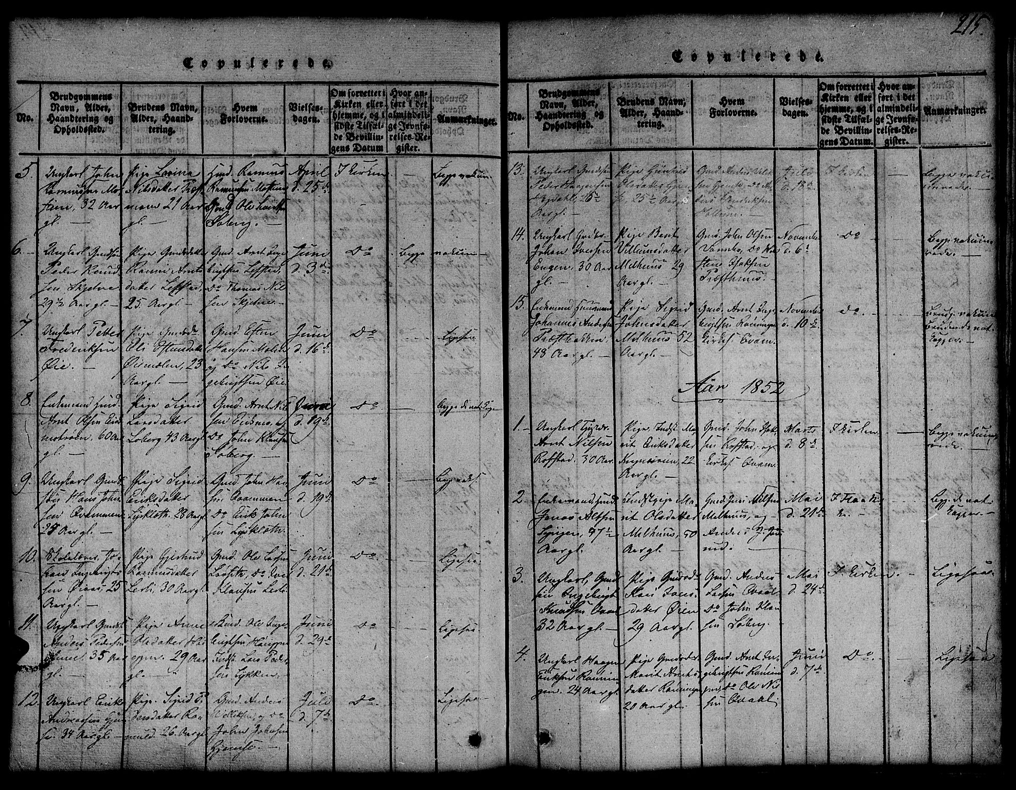 Ministerialprotokoller, klokkerbøker og fødselsregistre - Sør-Trøndelag, SAT/A-1456/691/L1092: Parish register (copy) no. 691C03, 1816-1852, p. 215