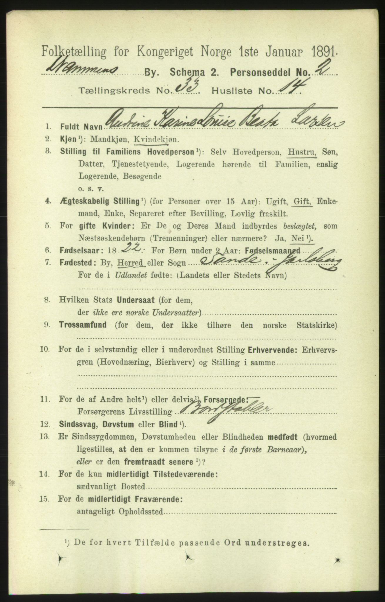 RA, 1891 census for 0602 Drammen, 1891, p. 20155