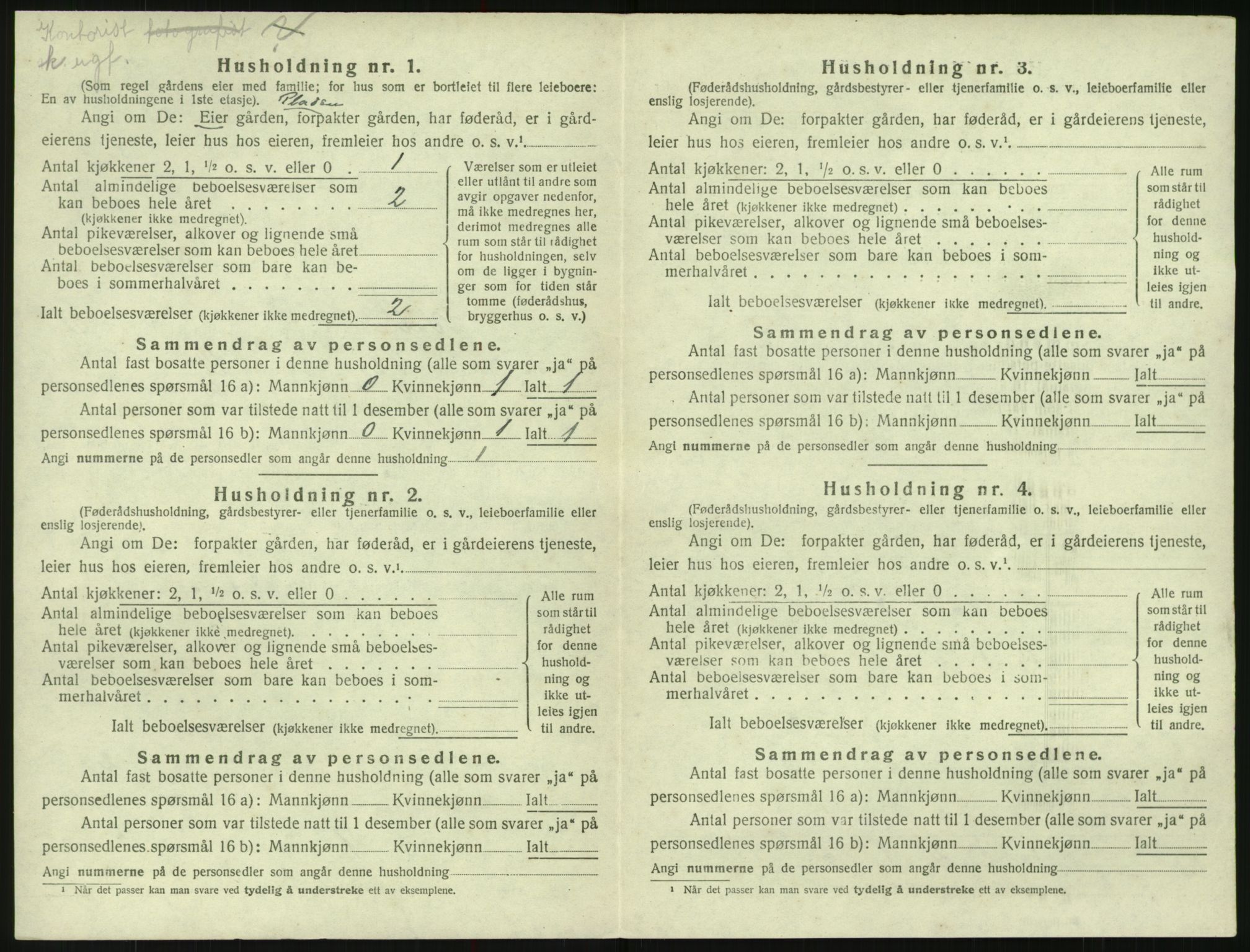 SAK, 1920 census for Valle, 1920, p. 220