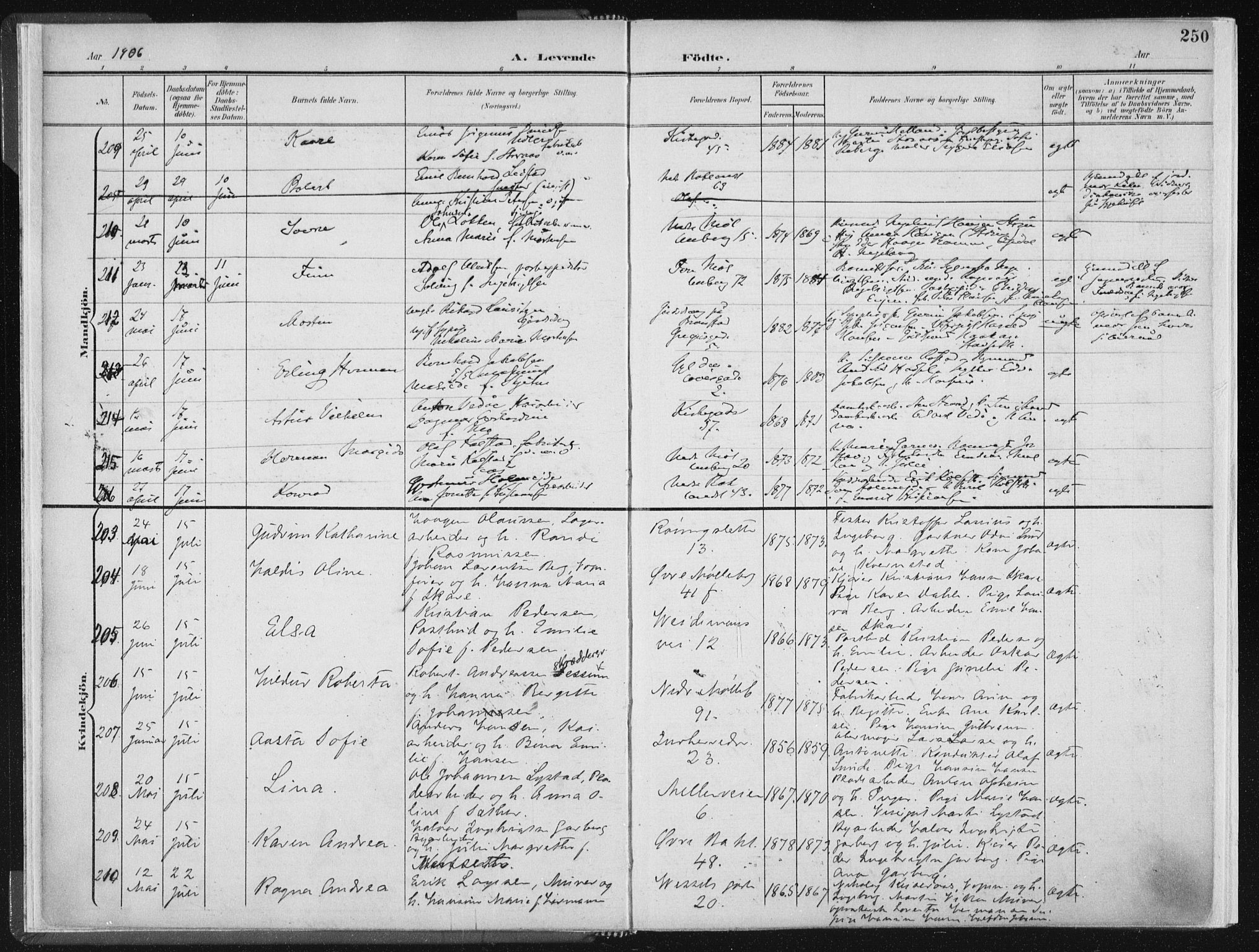 Ministerialprotokoller, klokkerbøker og fødselsregistre - Sør-Trøndelag, AV/SAT-A-1456/604/L0200: Parish register (official) no. 604A20II, 1901-1908, p. 250