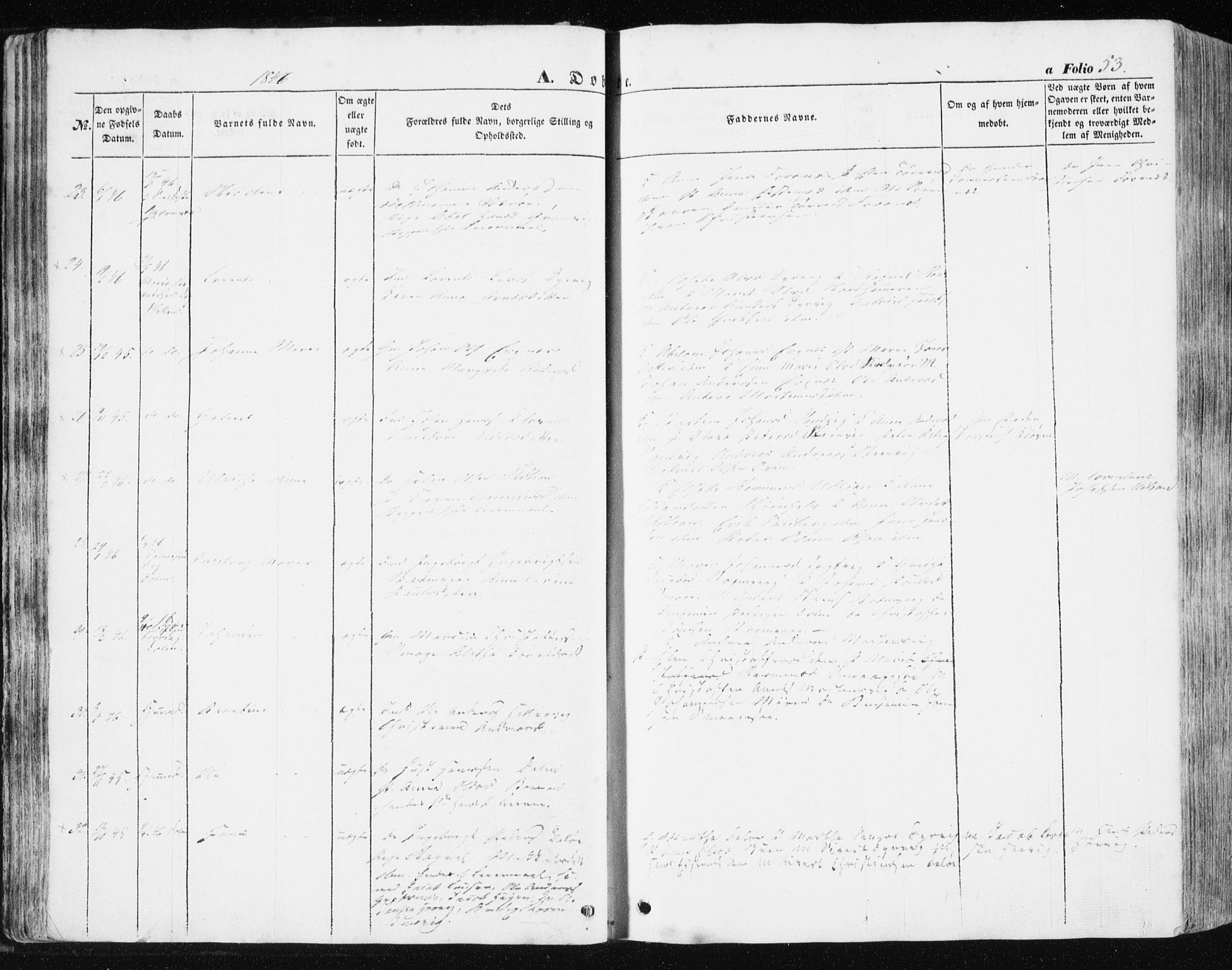 Ministerialprotokoller, klokkerbøker og fødselsregistre - Sør-Trøndelag, AV/SAT-A-1456/634/L0529: Parish register (official) no. 634A05, 1843-1851, p. 53