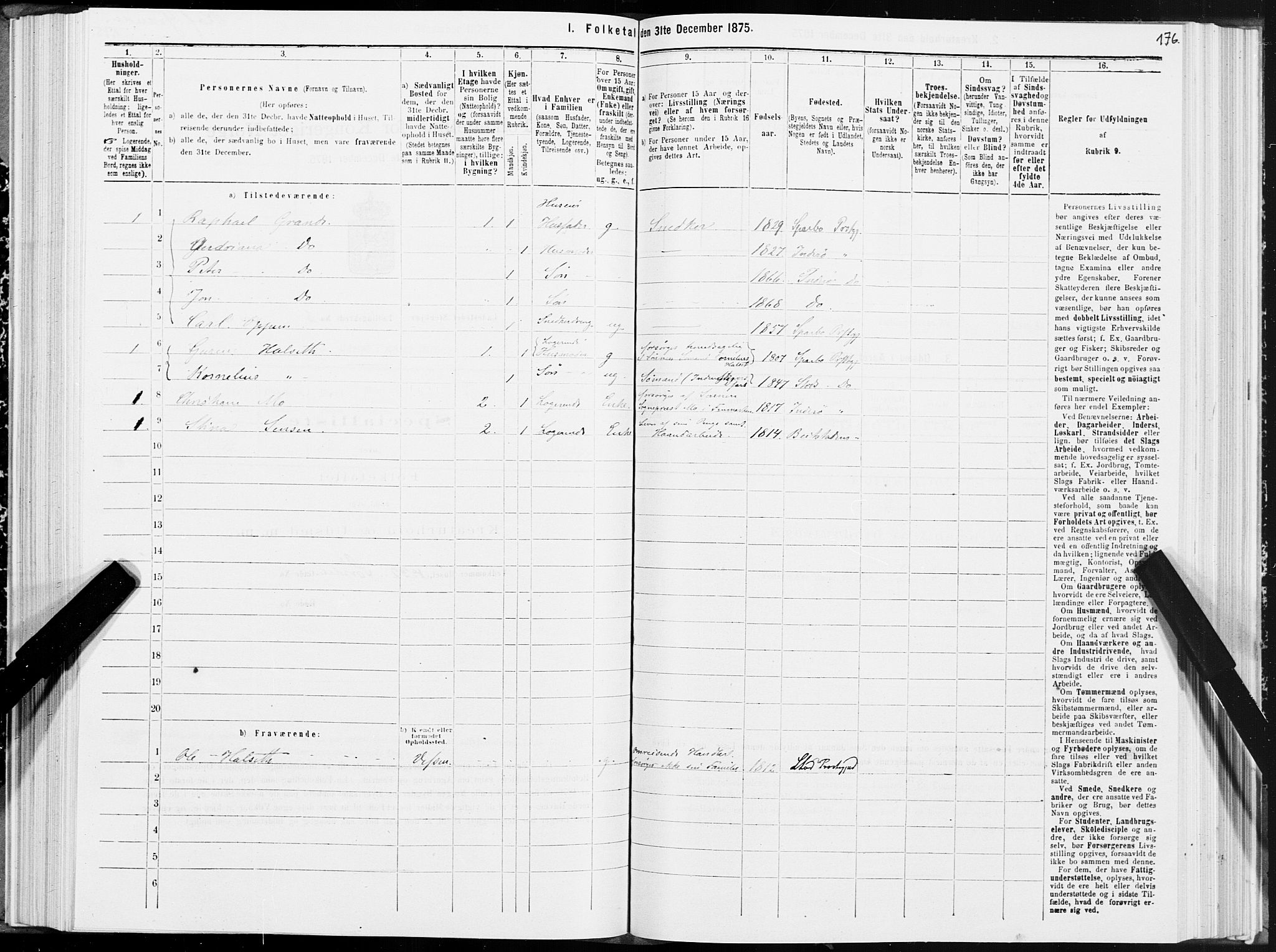 SAT, 1875 census for 1702B Steinkjer/Steinkjer, 1875, p. 176