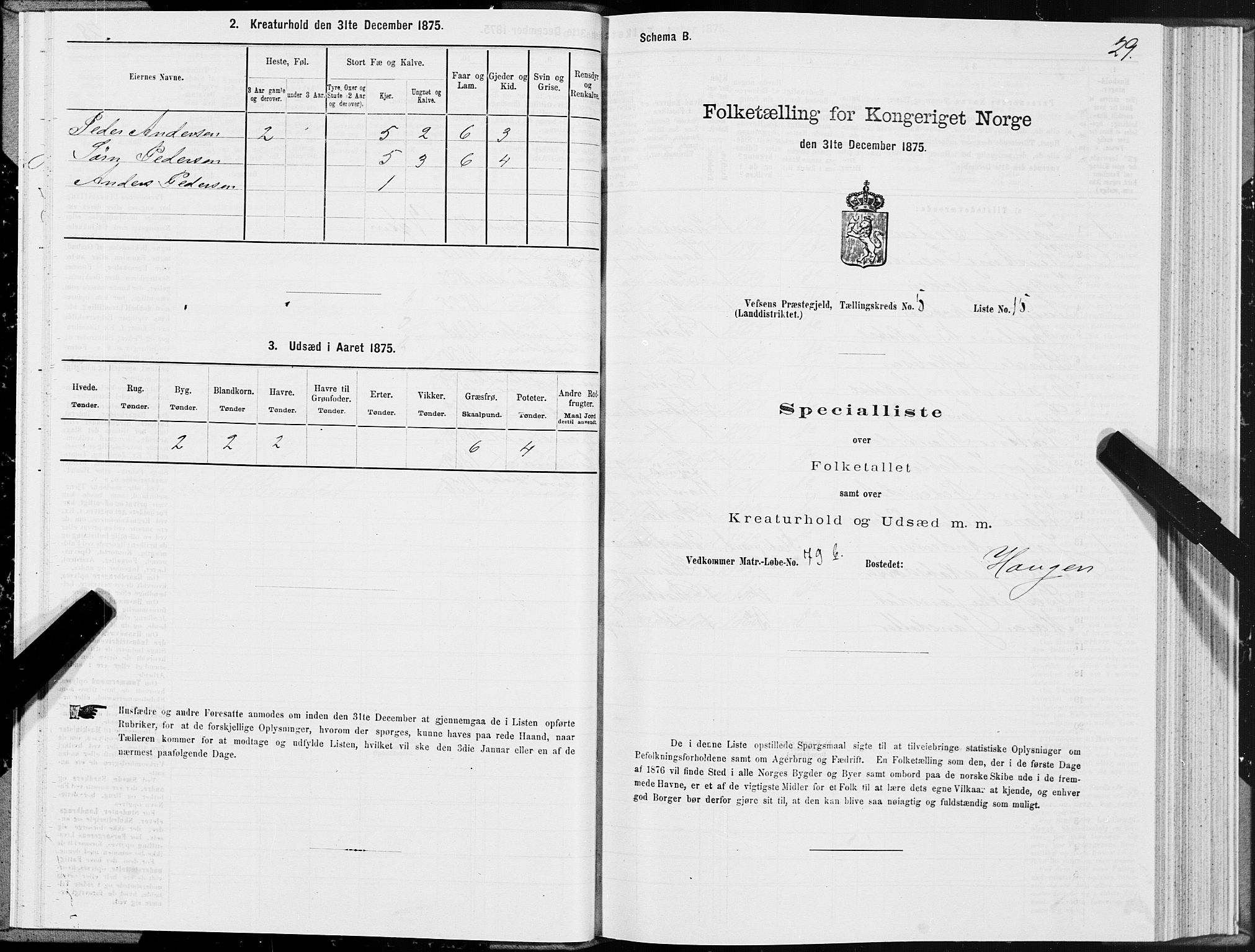 SAT, 1875 census for 1824L Vefsn/Vefsn, 1875, p. 2029