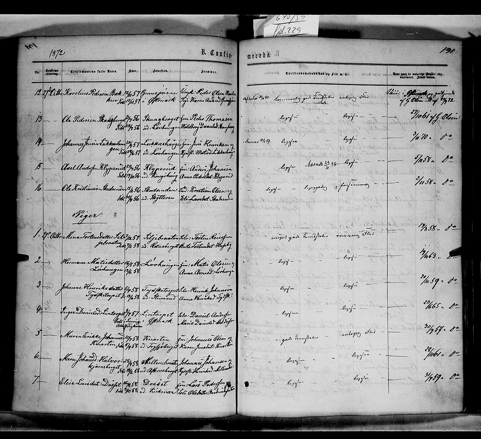 Grue prestekontor, SAH/PREST-036/H/Ha/Haa/L0010: Parish register (official) no. 10, 1864-1873, p. 191