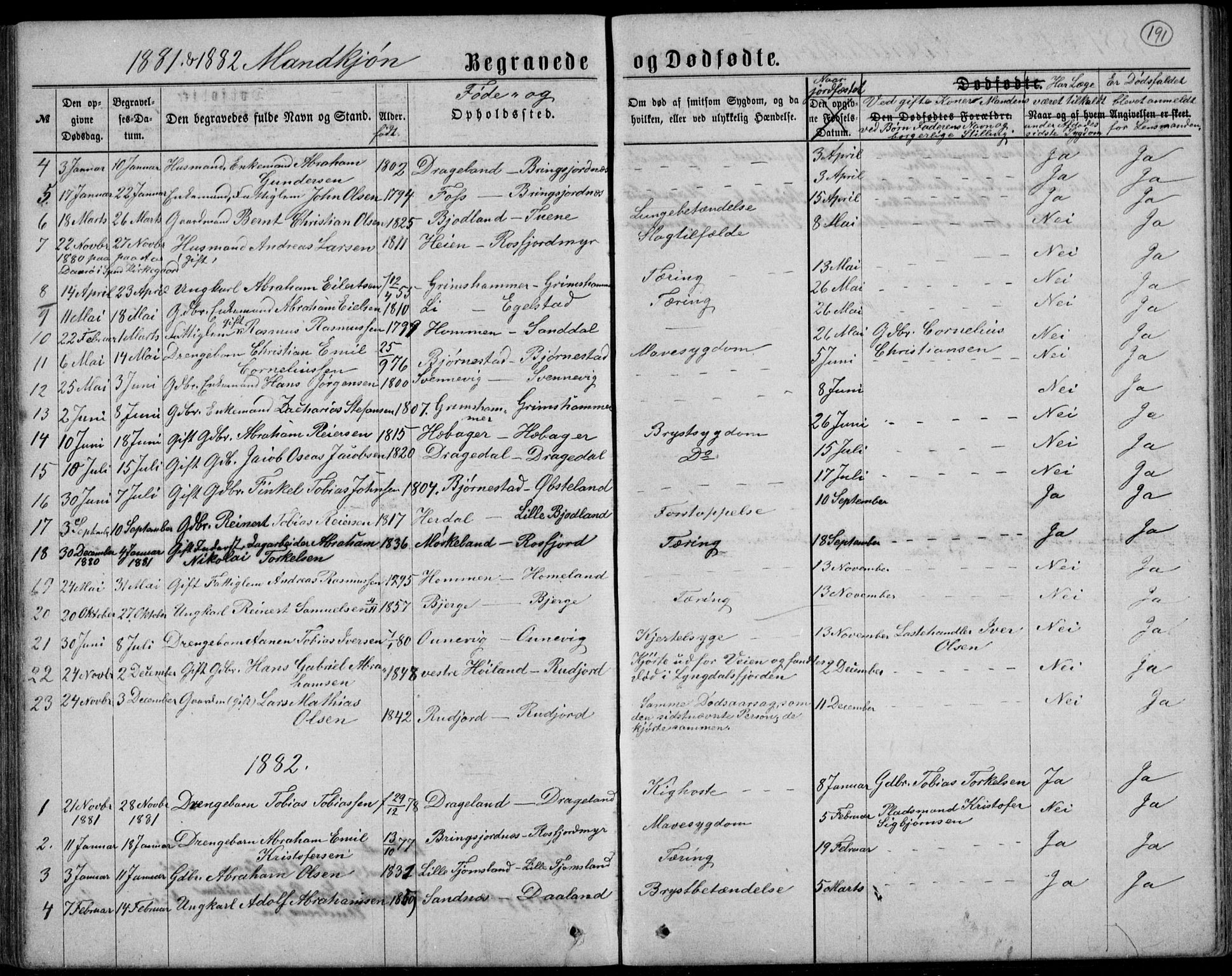 Lyngdal sokneprestkontor, AV/SAK-1111-0029/F/Fb/Fbc/L0004: Parish register (copy) no. B 4, 1878-1896, p. 191