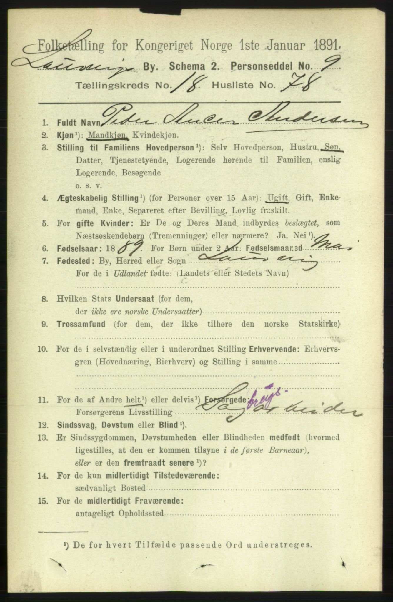 RA, 1891 census for 0707 Larvik, 1891, p. 13884