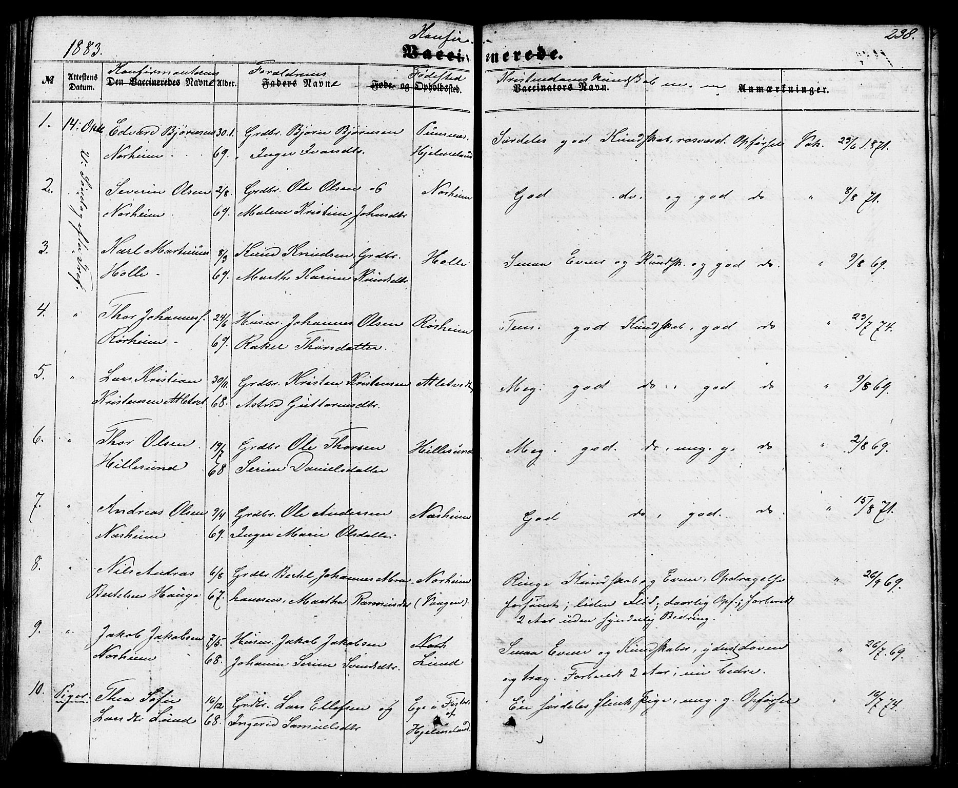 Nedstrand sokneprestkontor, SAST/A-101841/01/IV: Parish register (official) no. A 10, 1861-1887, p. 238