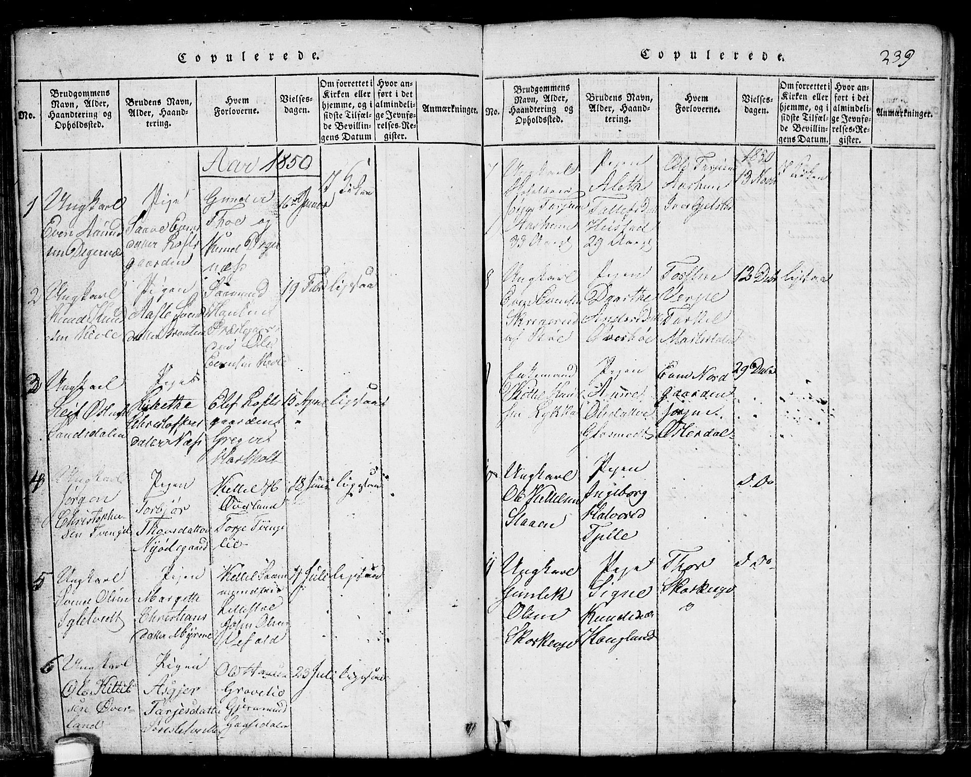 Seljord kirkebøker, SAKO/A-20/G/Ga/L0001: Parish register (copy) no. I 1, 1815-1854, p. 239
