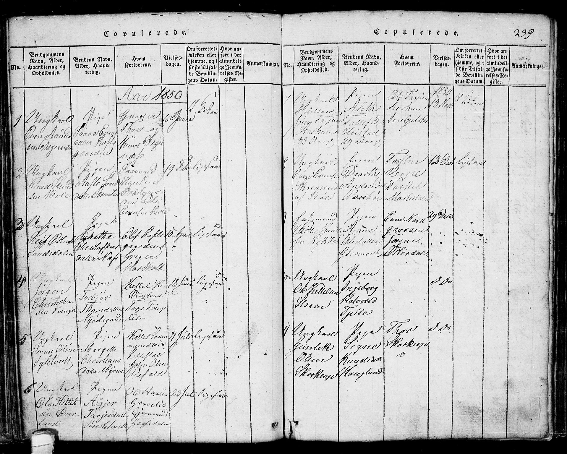 Seljord kirkebøker, AV/SAKO-A-20/G/Ga/L0001: Parish register (copy) no. I 1, 1815-1854, p. 239