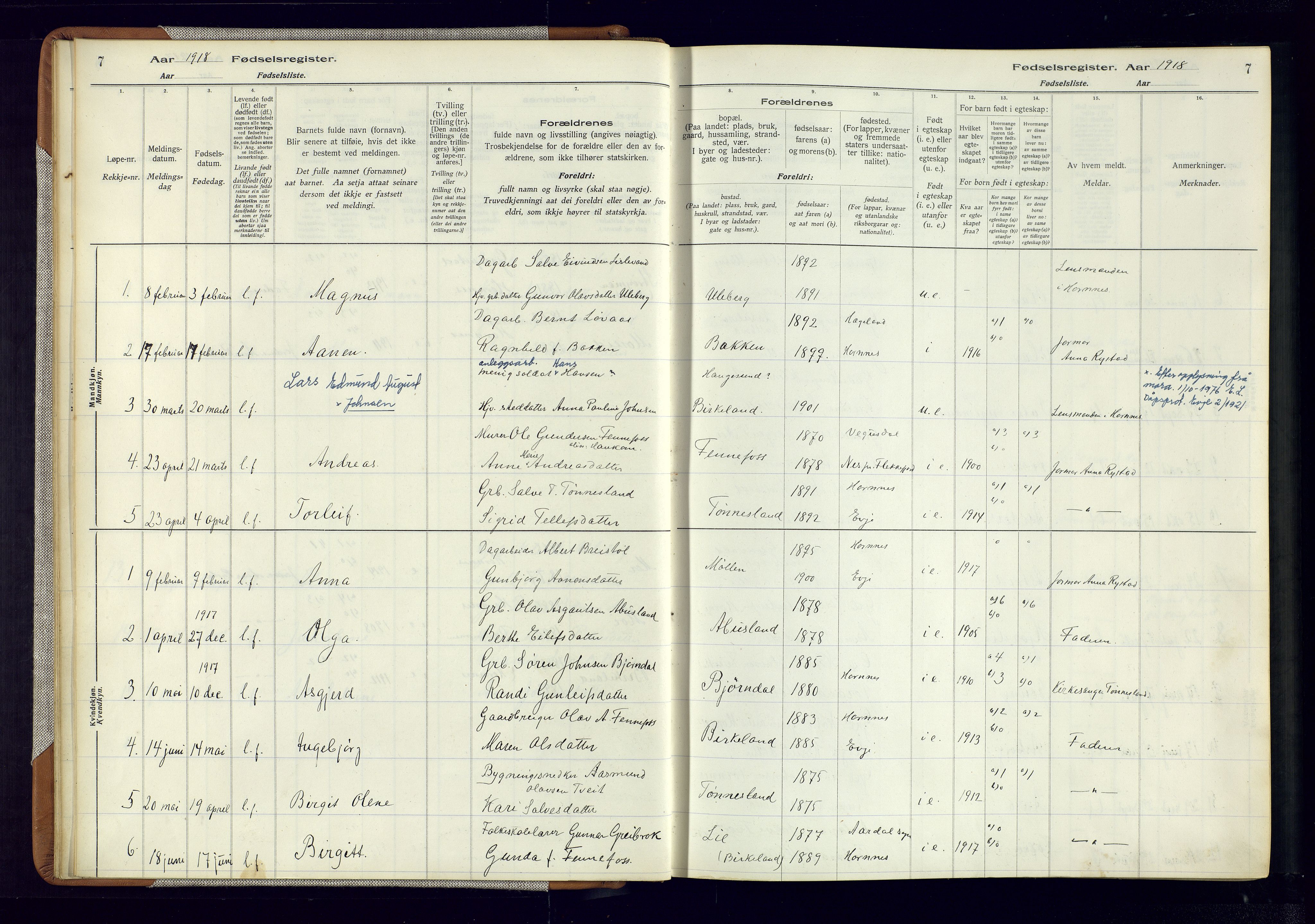 Evje sokneprestkontor, AV/SAK-1111-0008/J/Jc/L0006: Birth register no. 6, 1916-1982, p. 7