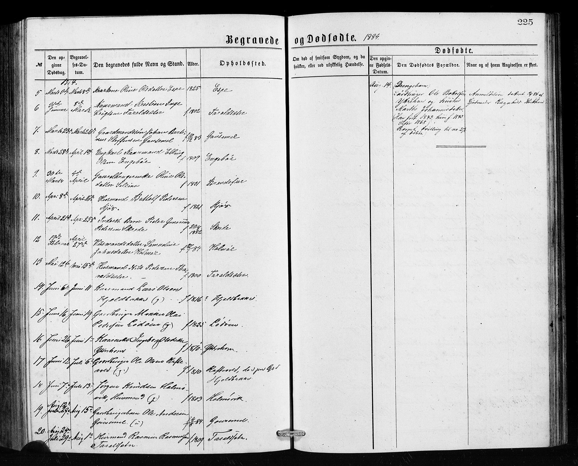 Hornindal sokneprestembete, SAB/A-82401/H/Hab: Parish register (copy) no. A 1, 1876-1894, p. 225