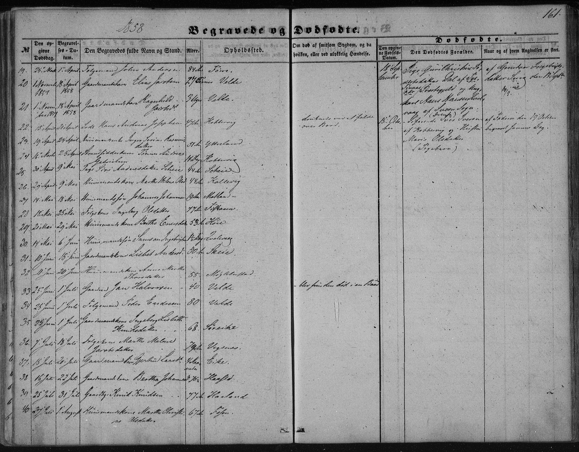 Avaldsnes sokneprestkontor, AV/SAST-A -101851/H/Ha/Haa/L0009: Parish register (official) no. A 9, 1853-1865, p. 161