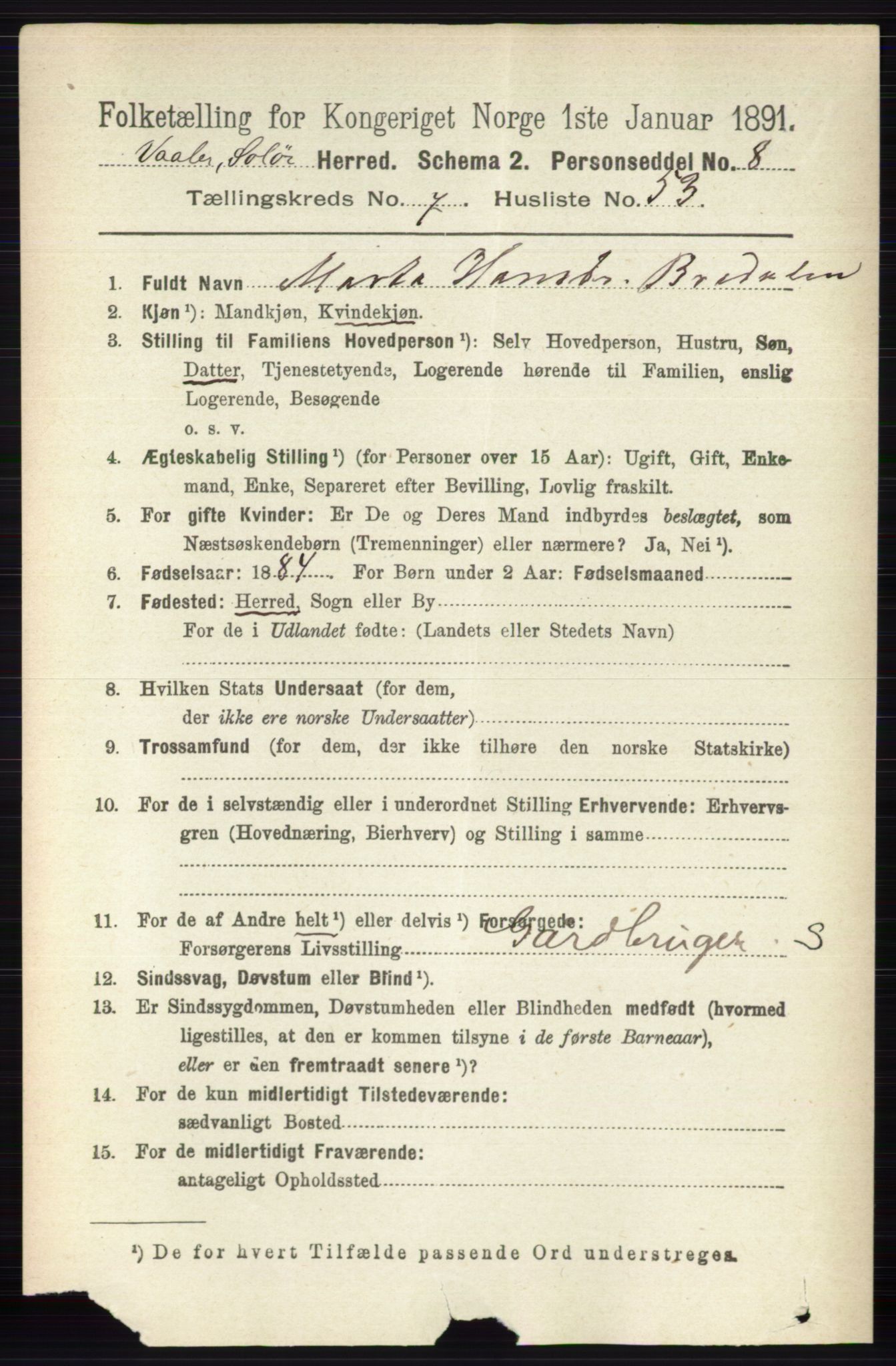 RA, 1891 census for 0426 Våler, 1891, p. 3253