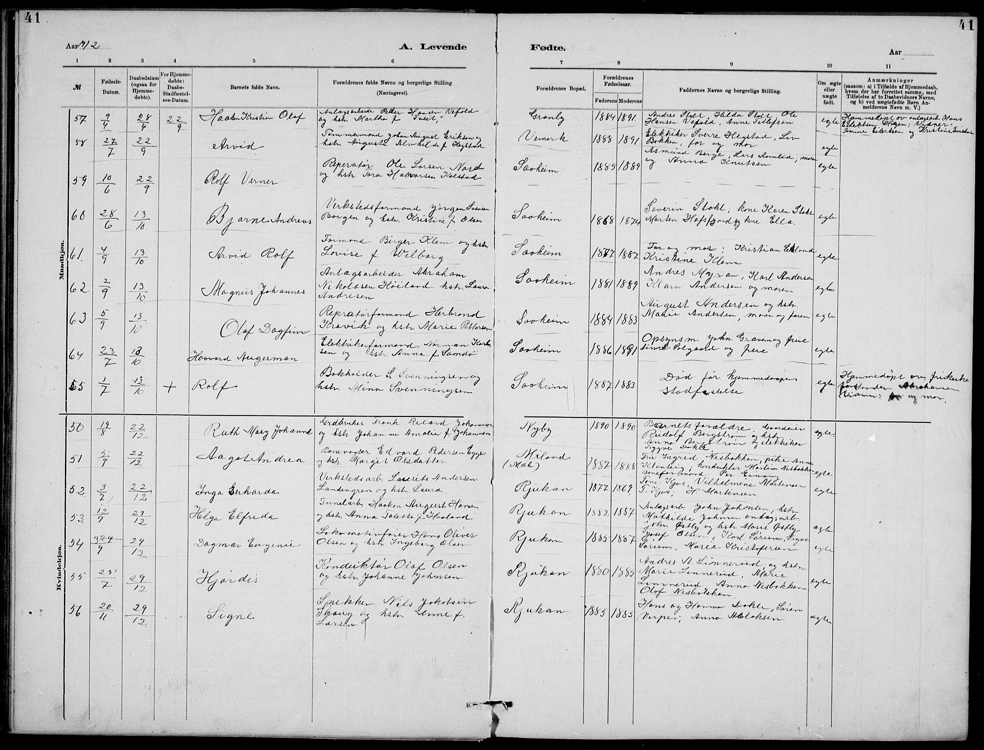 Rjukan kirkebøker, SAKO/A-294/G/Ga/L0001: Parish register (copy) no. 1, 1880-1914, p. 41