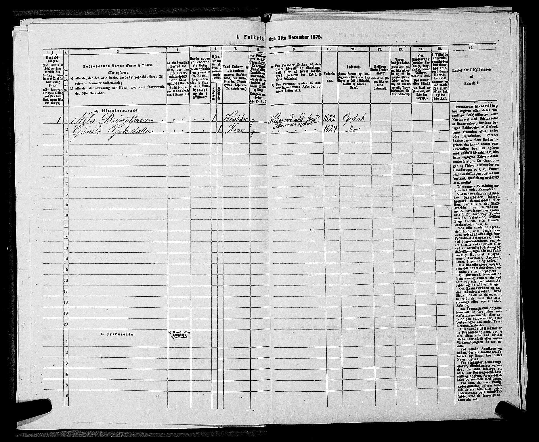 SAKO, 1875 census for 0633P Nore, 1875, p. 361