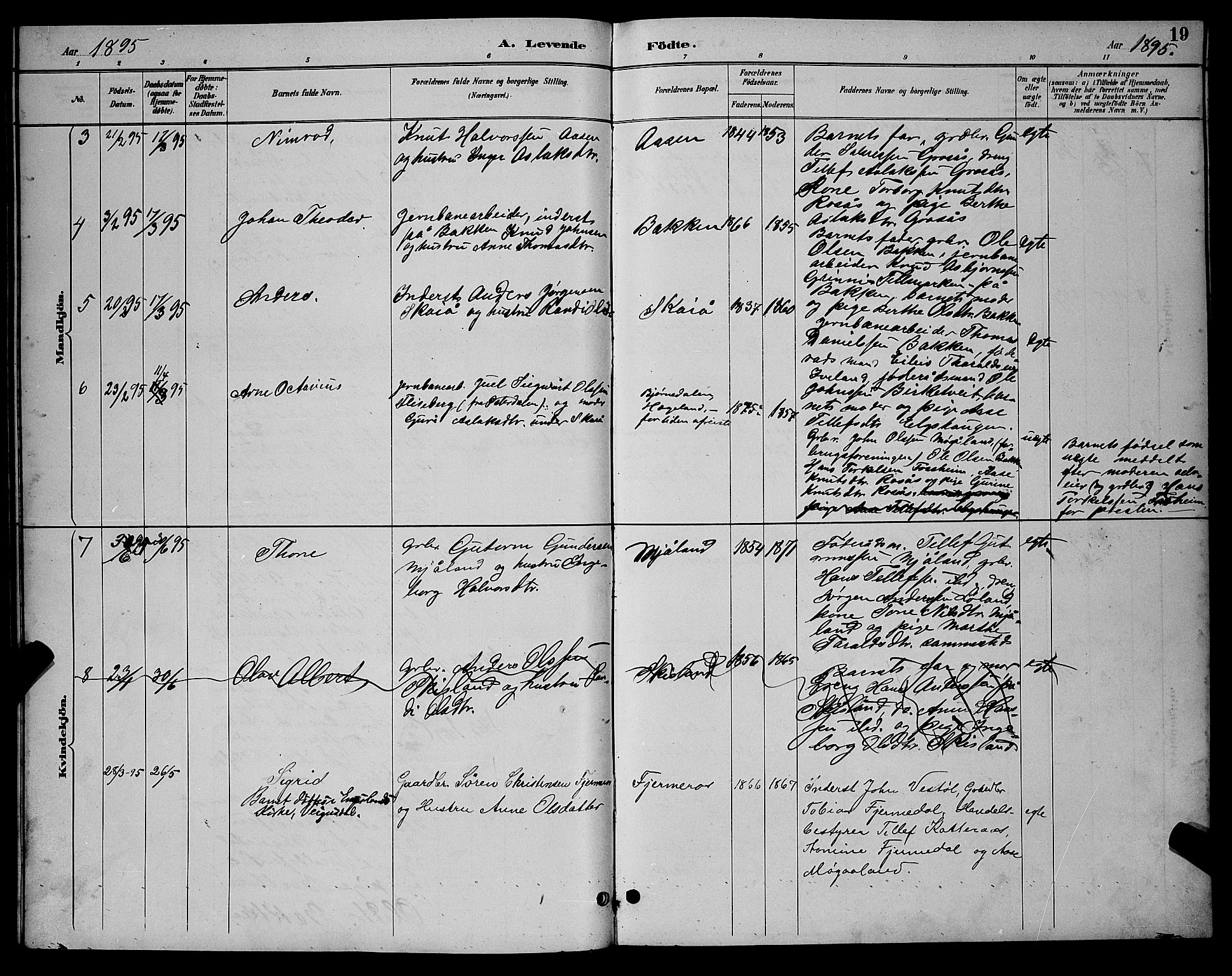 Evje sokneprestkontor, AV/SAK-1111-0008/F/Fb/Fbc/L0004: Parish register (copy) no. B 4, 1890-1900, p. 19