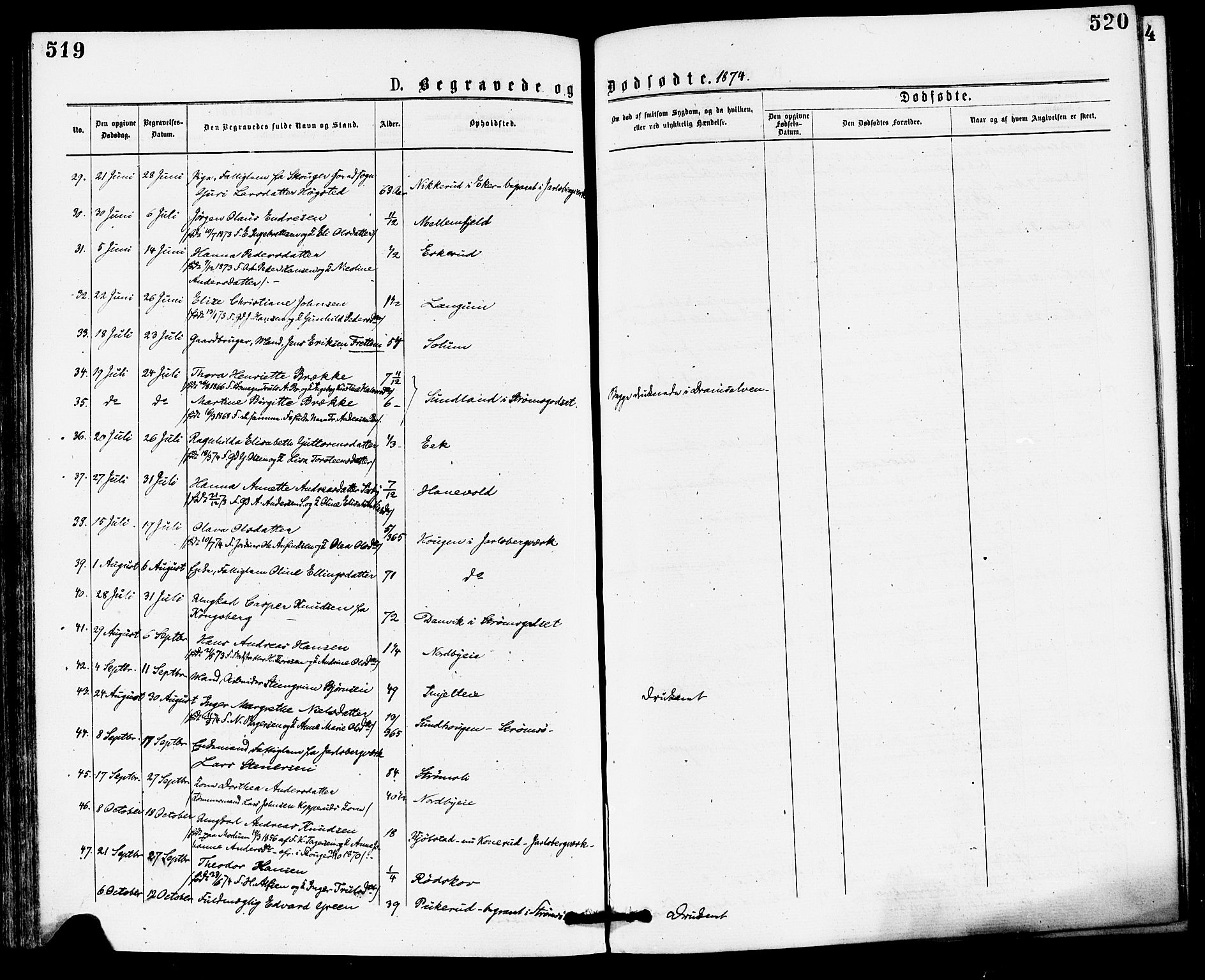 Skoger kirkebøker, AV/SAKO-A-59/F/Fa/L0005: Parish register (official) no. I 5, 1873-1884, p. 519-520