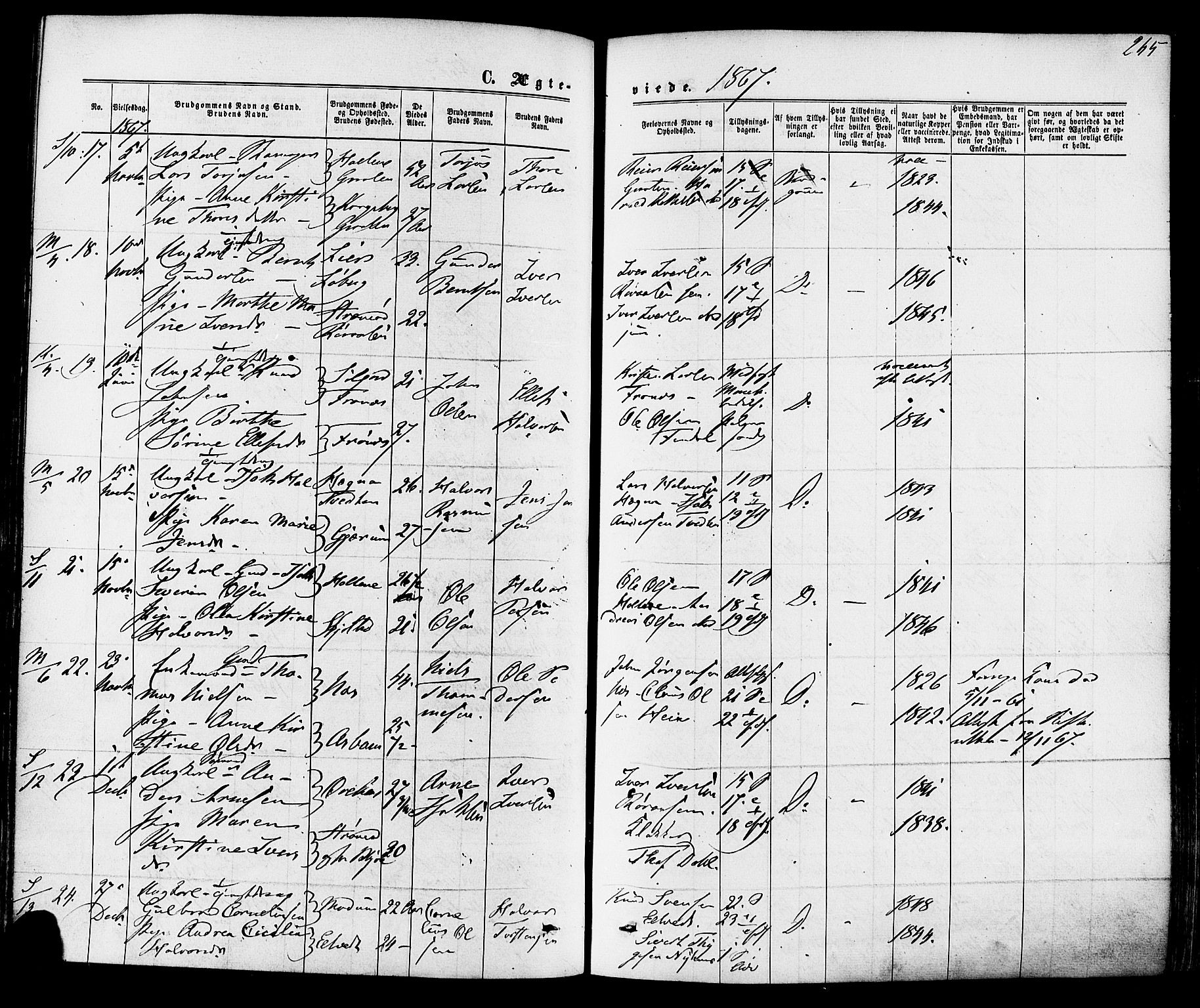 Solum kirkebøker, SAKO/A-306/F/Fa/L0008: Parish register (official) no. I 8, 1865-1876, p. 265
