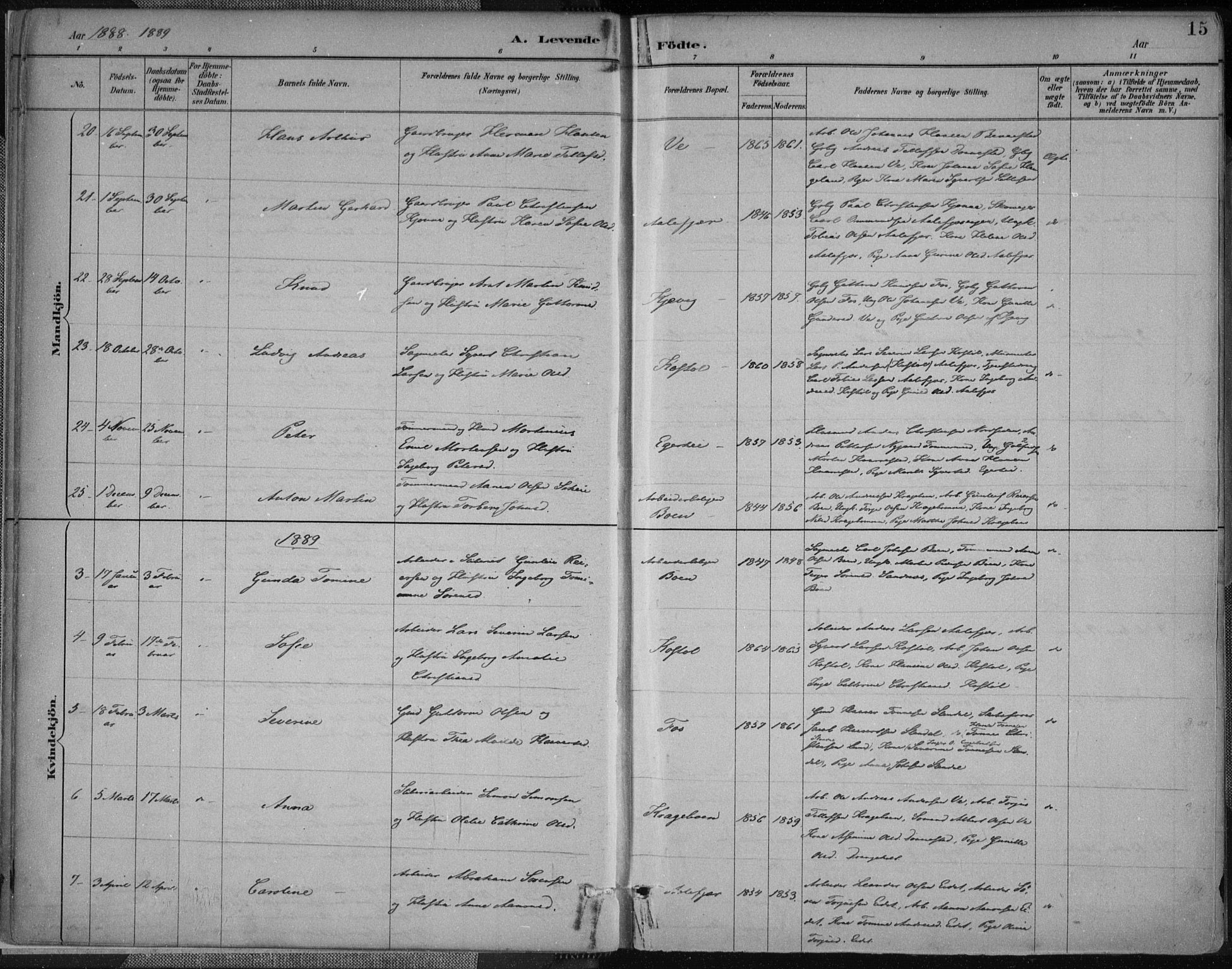 Tveit sokneprestkontor, SAK/1111-0043/F/Fa/L0007: Parish register (official) no. A 7, 1887-1908, p. 15